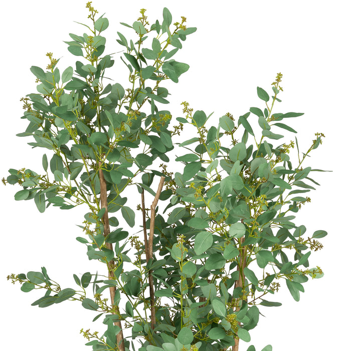 6' Eucalyptus Tree FP1253