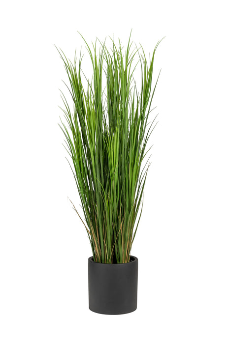 62” Grass Reed Stem  GS1026