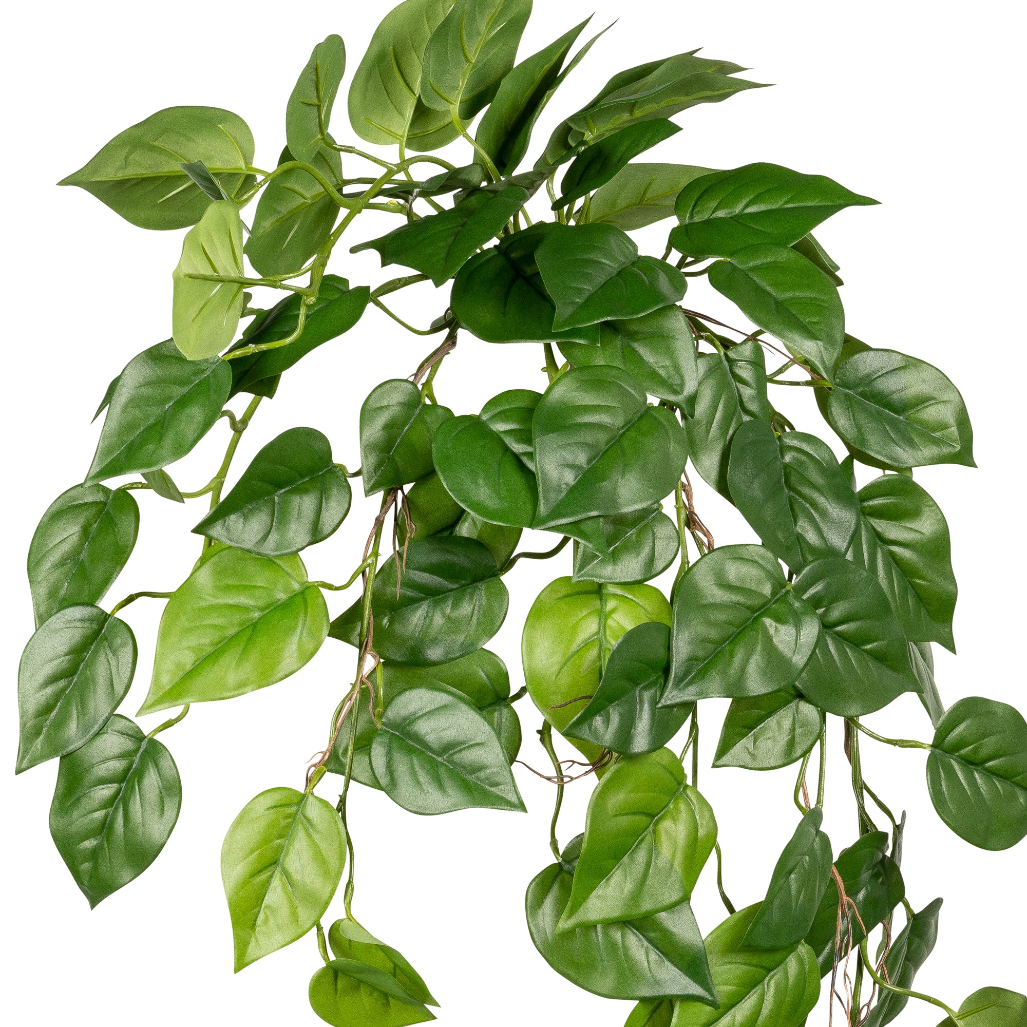 37” Pothos Bush - Green  ST1128