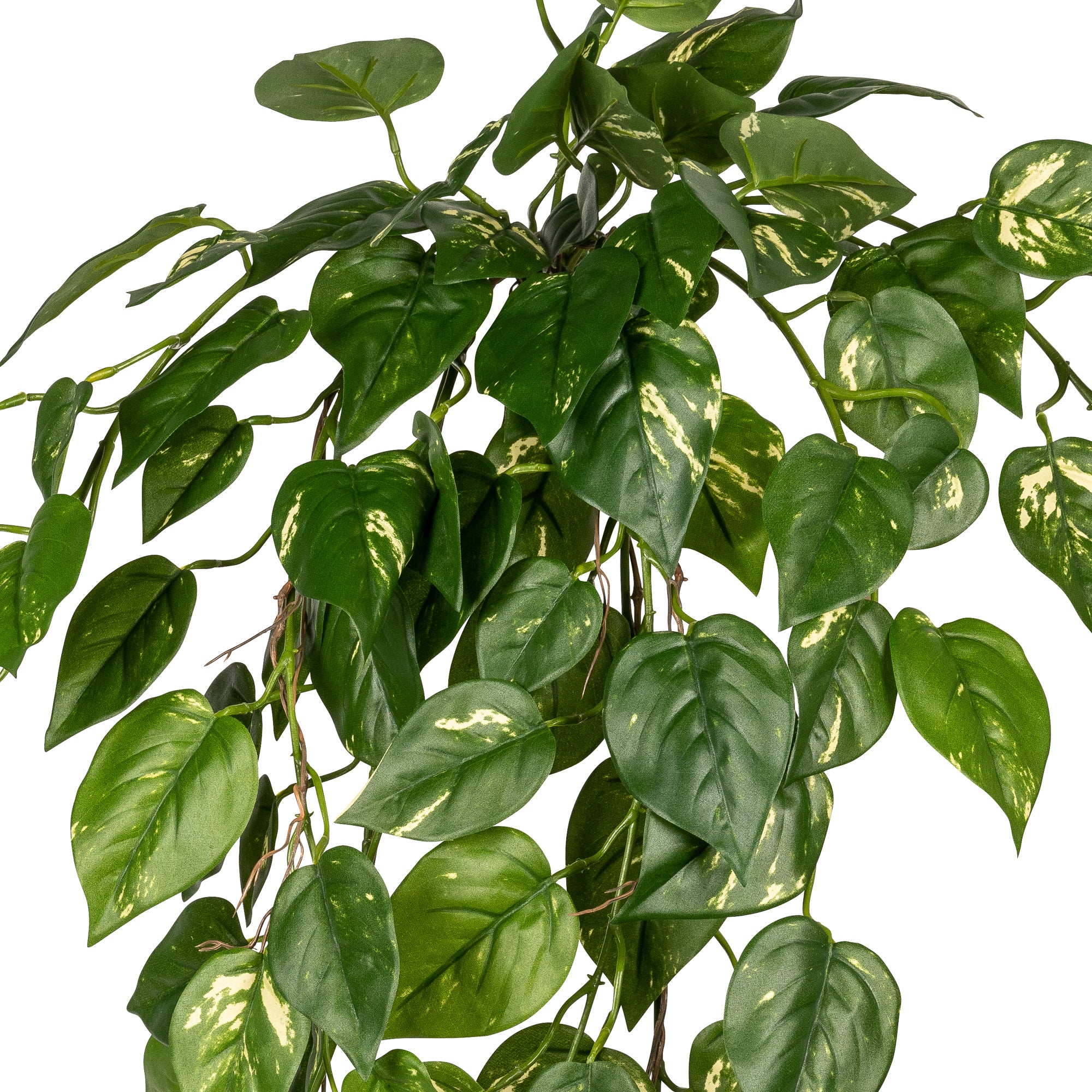 37” Pothos Bush - Green/Yellow ST1127