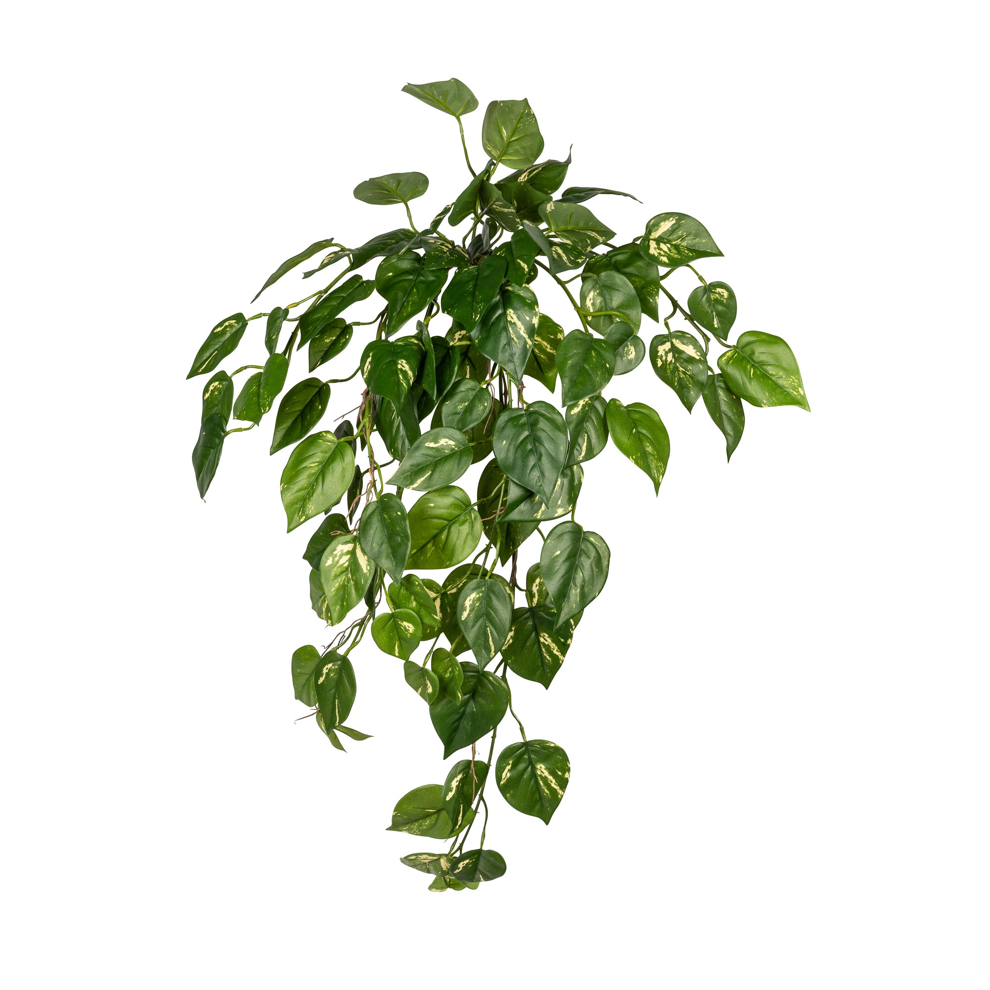 37” Pothos Bush - Green/Yellow ST1127