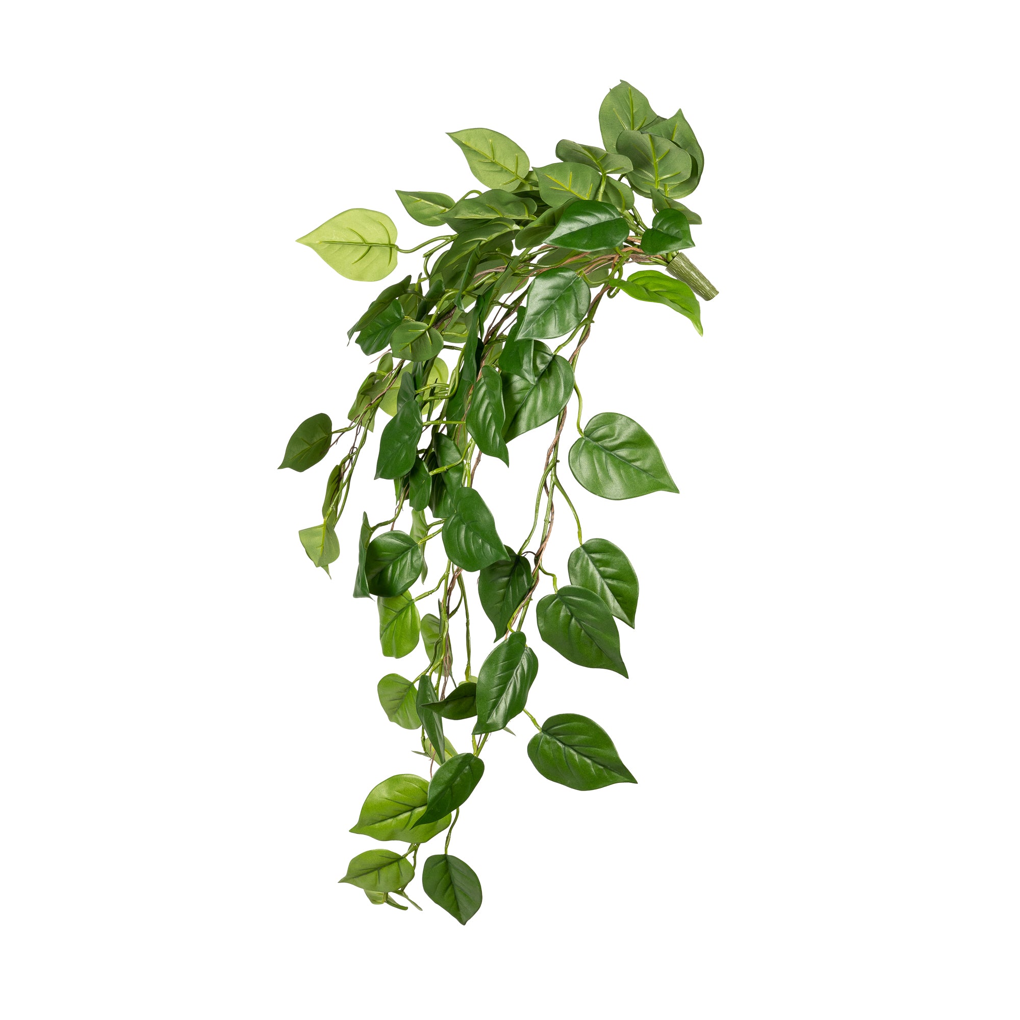 37” Pothos Bush - Green  ST1128