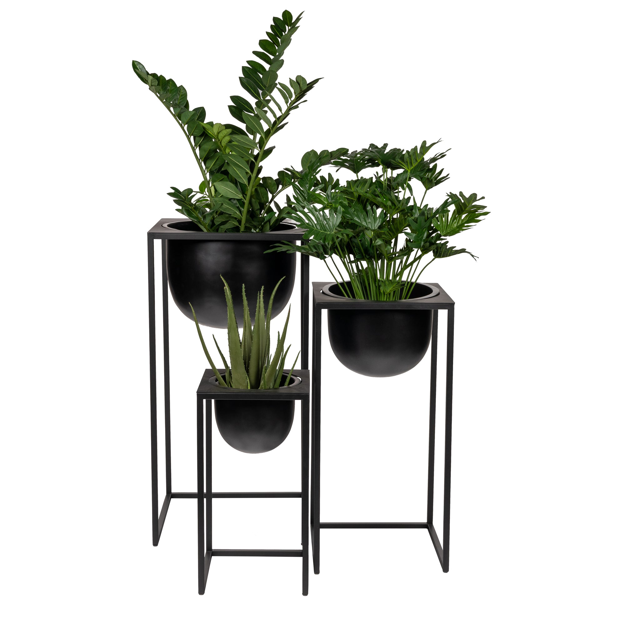 Well Planter Collection- Black     CN1258