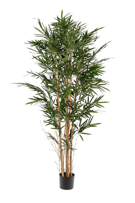 6' Bamboo Tree-UV Protected     FP1292