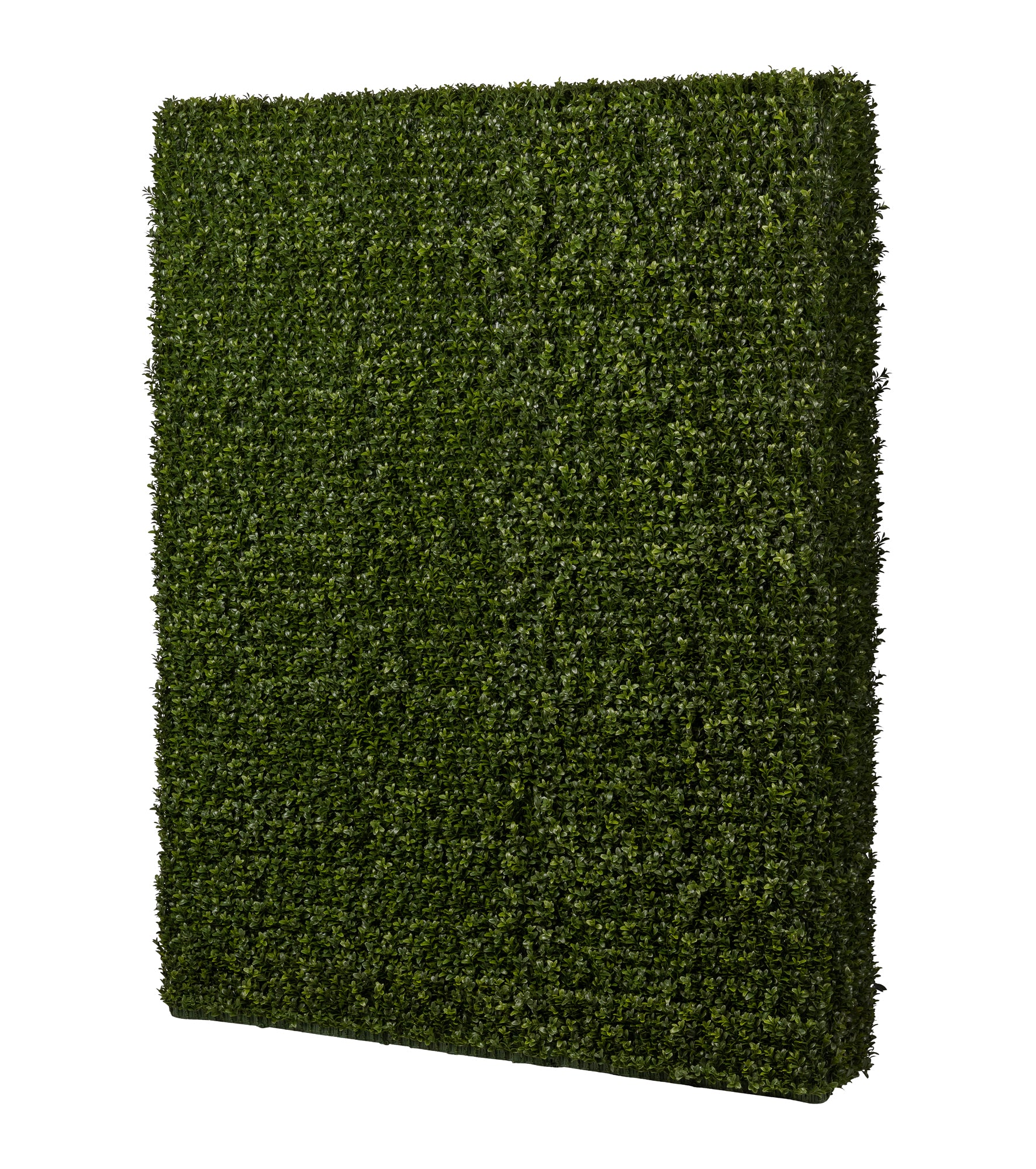 5.5' Grass Hedge- UV Protected   FP1304