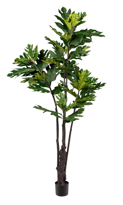 7' Artocarpus Tree- UV Protected    FP1315