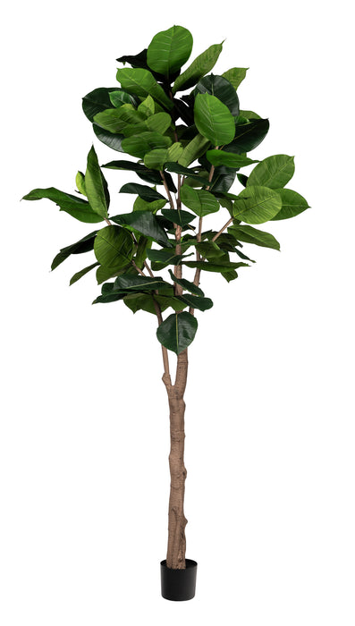 10' Fiddle Leaf Fig-UV Treated     FP1319