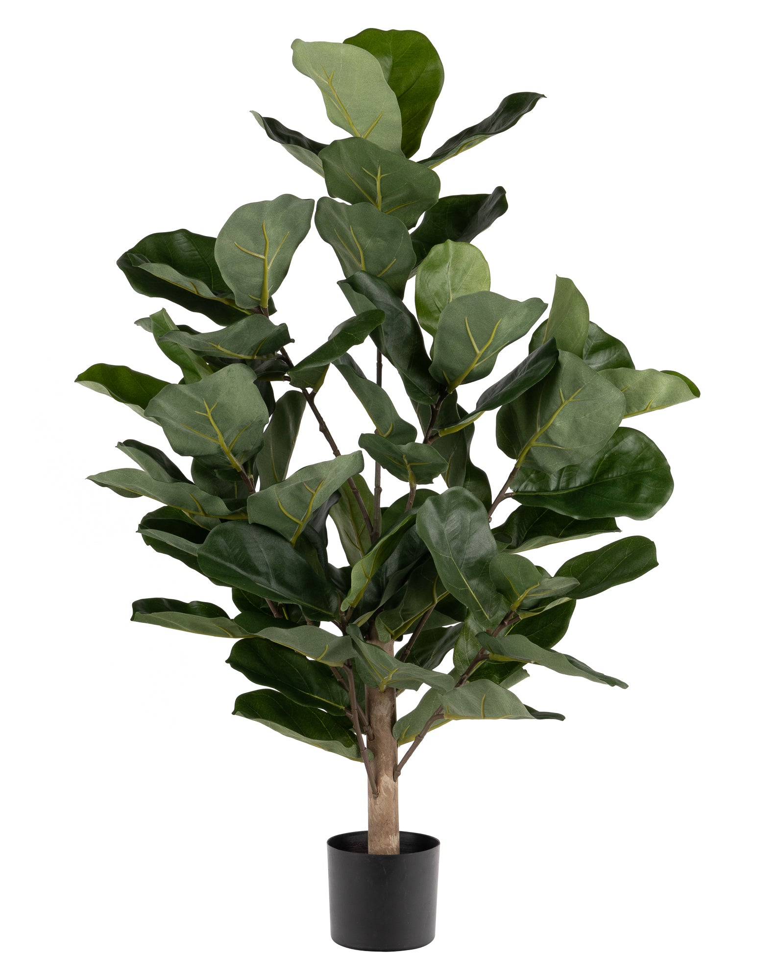 3' Fiddle Leaf Fig- UV Protected     PP1051