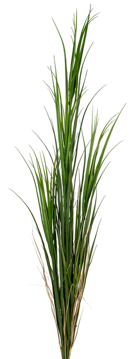 62” Grass Reed Stem  GS1026