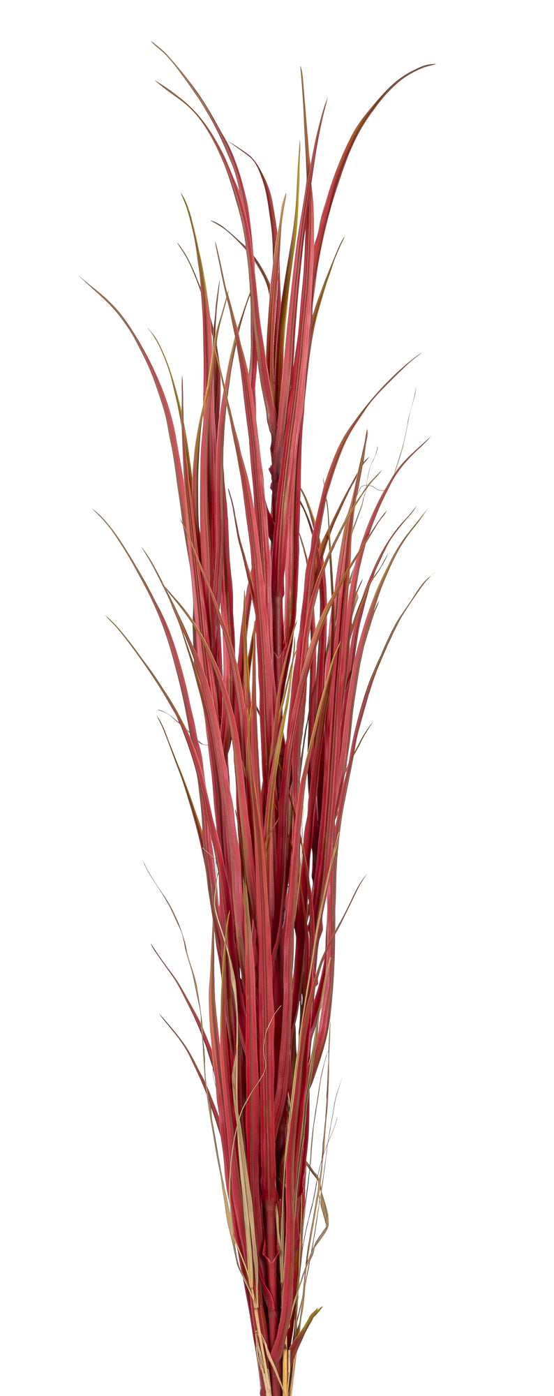 62" Red Grass Stem- UV Protected     GS1028