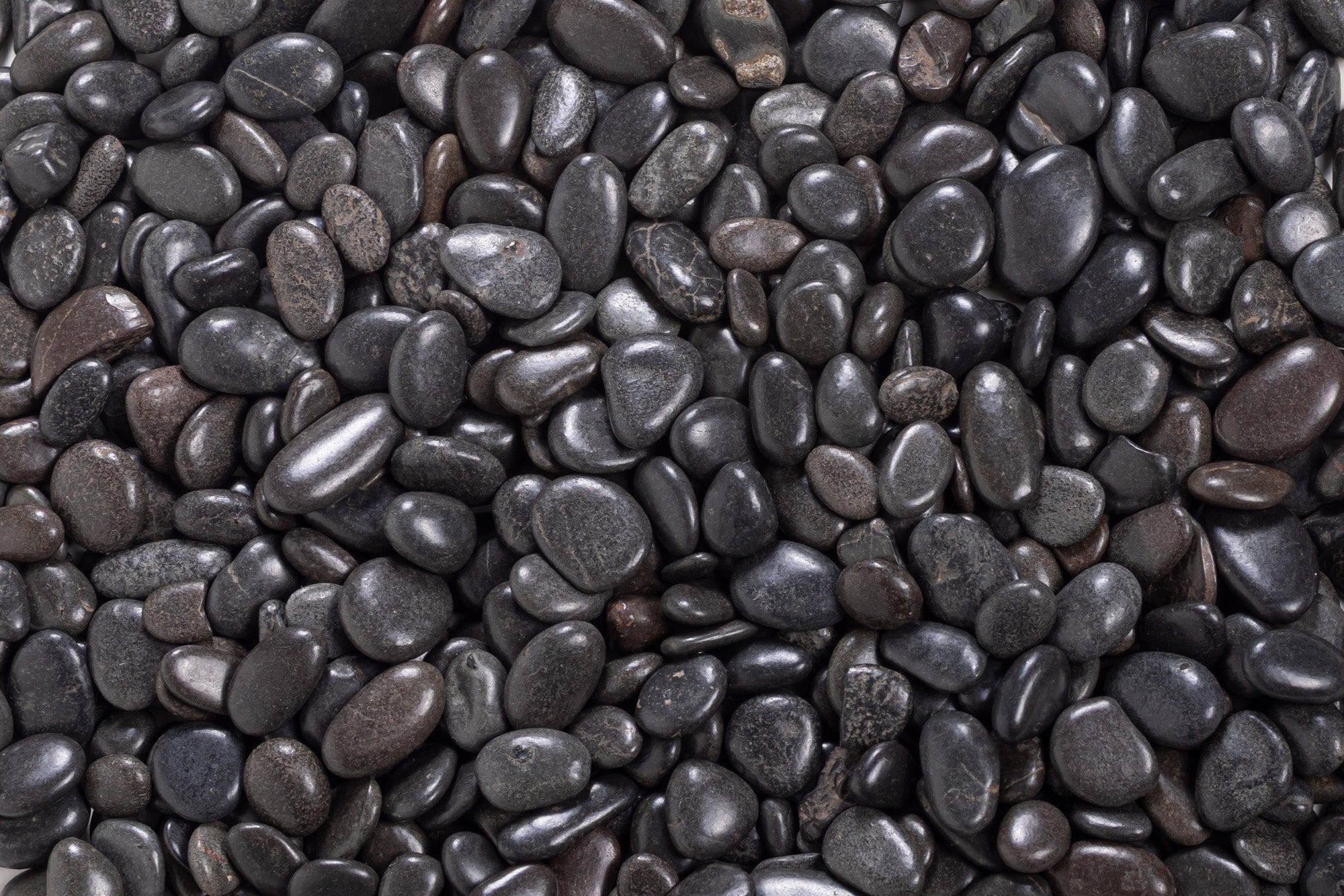 1 Pound of Black Rock  FA1011