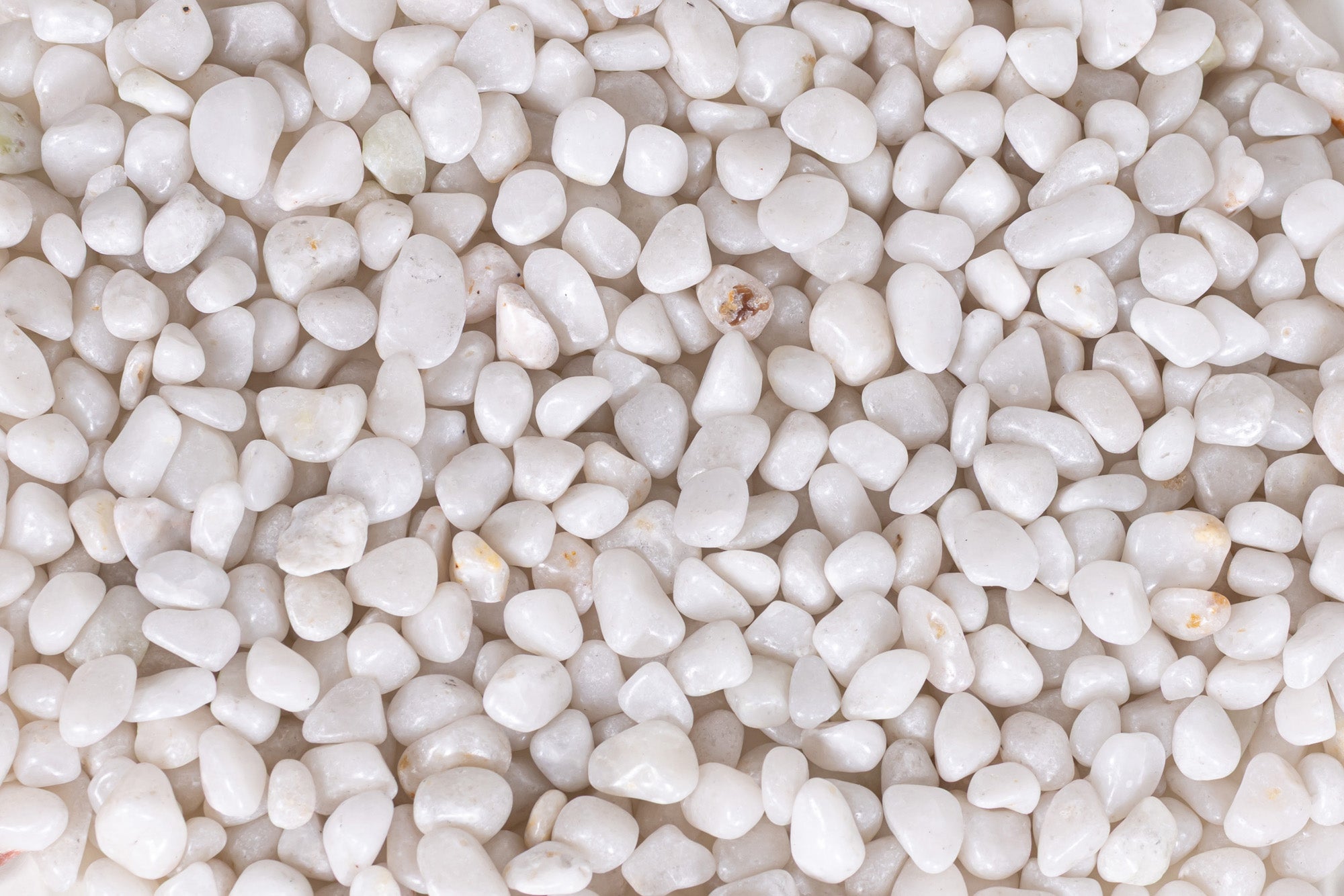 1 Pound of Polished White Rock