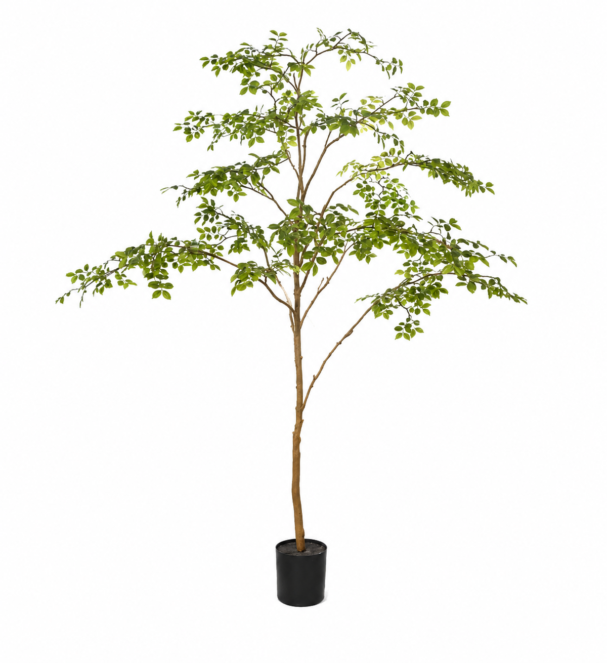 8' Rose Tree FP1473