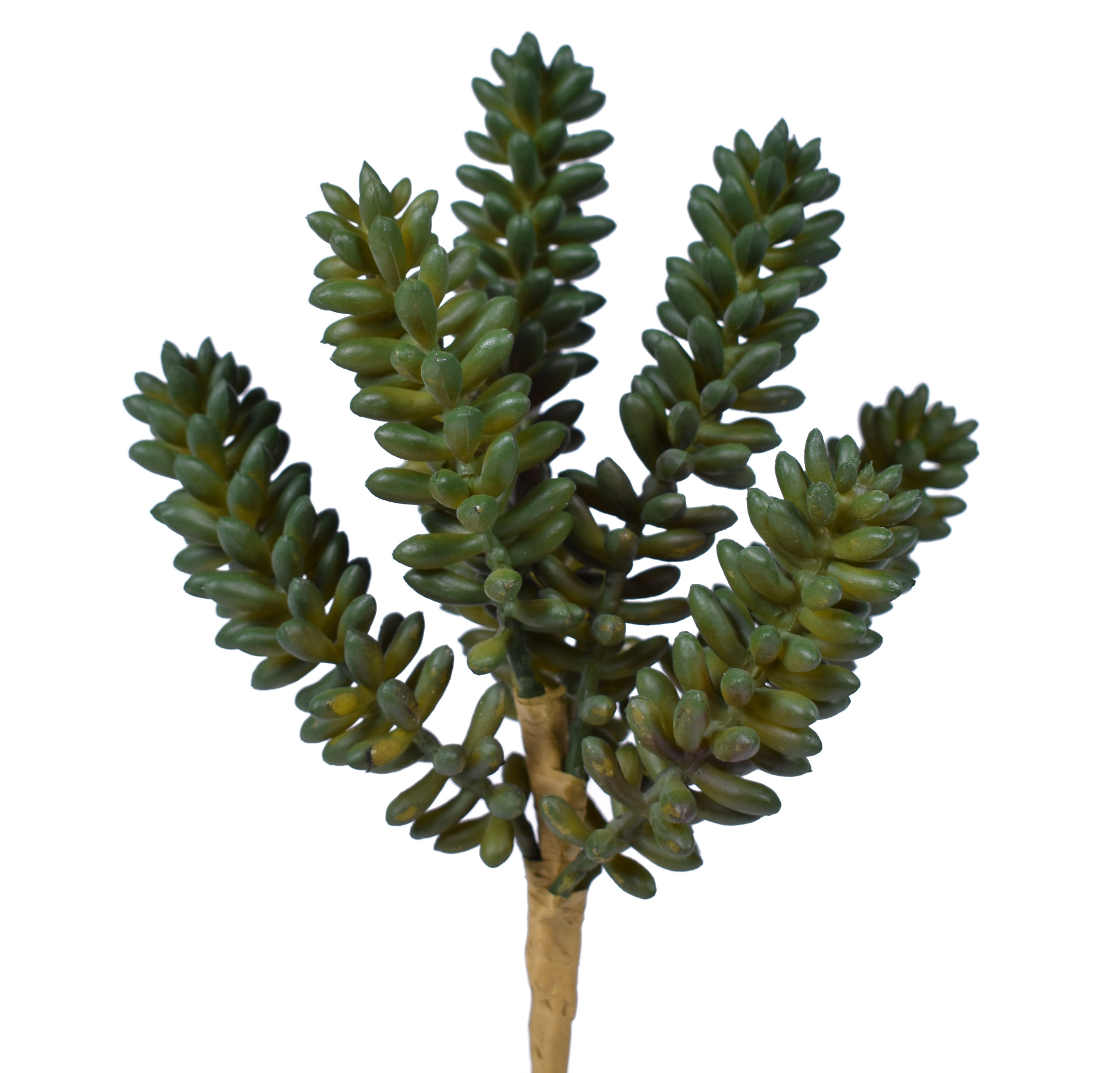 8" UV Protected Sedum Pick   SE1031UV