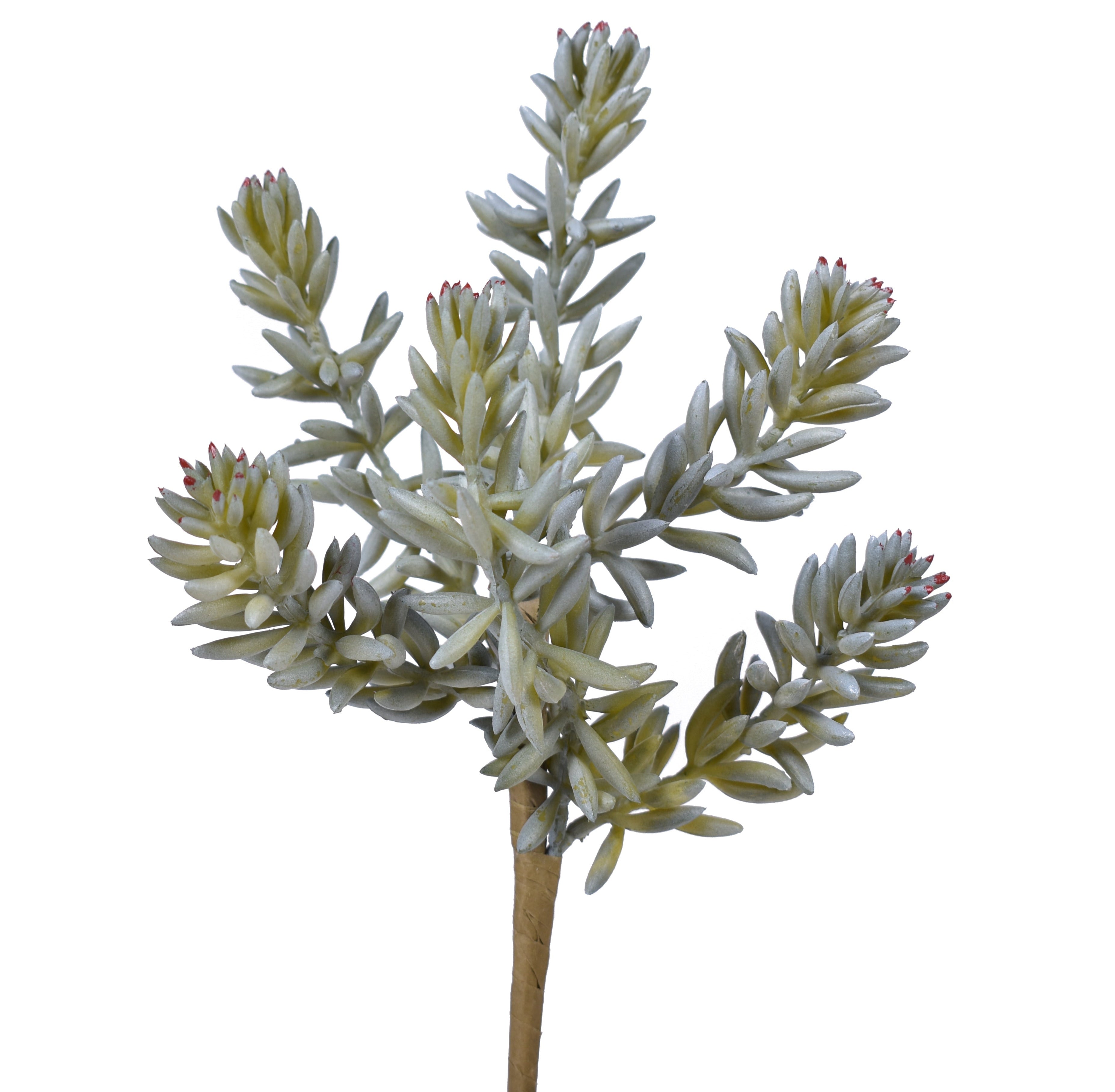 9" Sedum Pick- UV Protected    SE1033UV