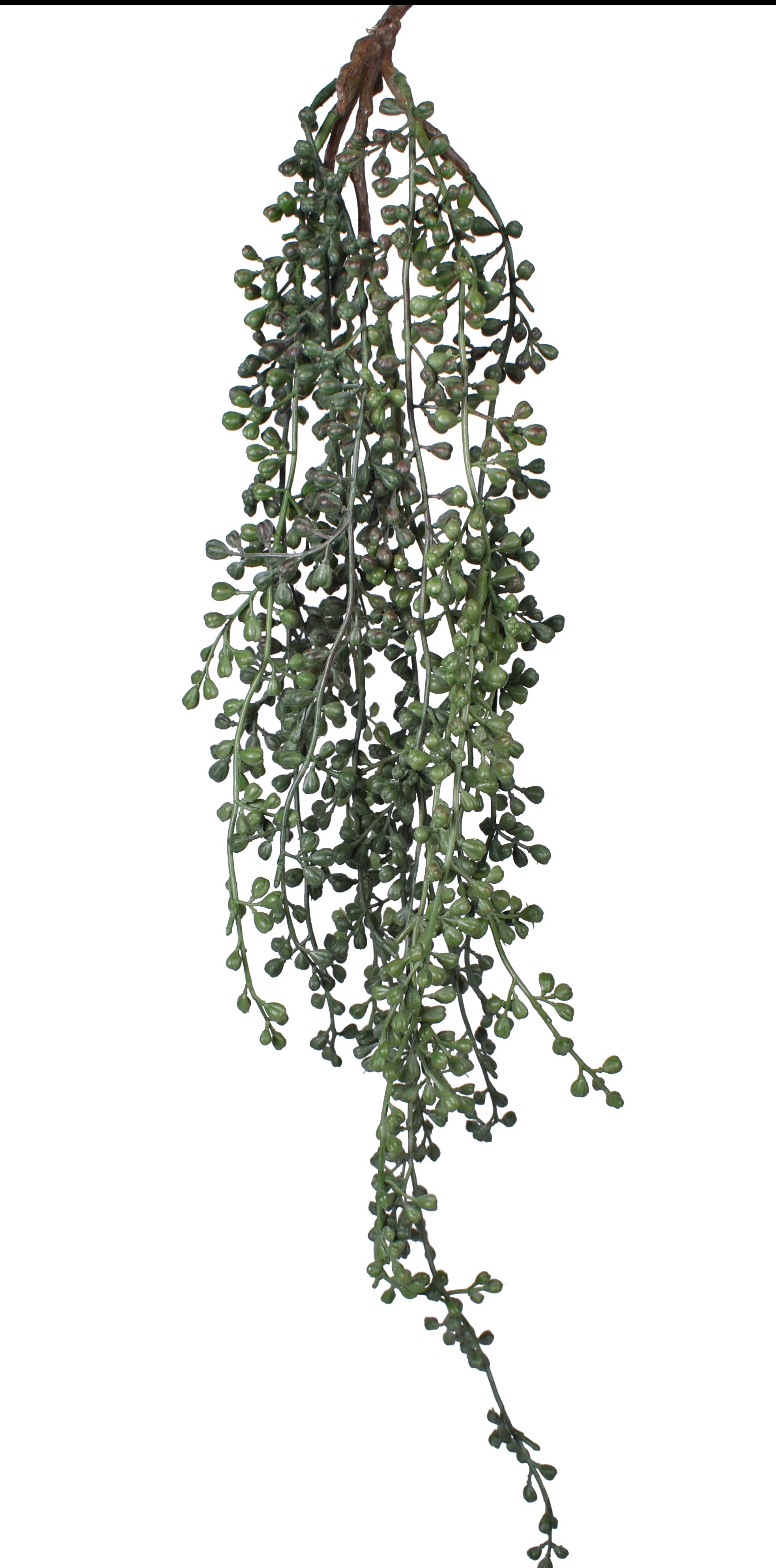 27" Hanging Sedum Stem- UV Protected    SE1034UV