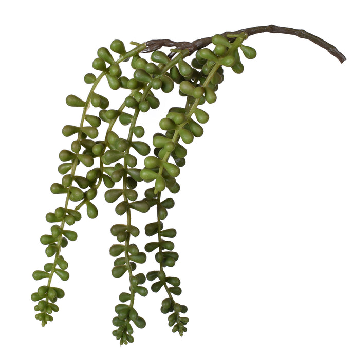 14" Hanging Sedum Pick- UV Protected   SE1036UV