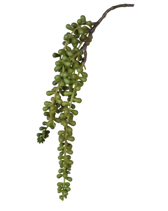 14" Hanging Sedum Pick- UV Protected   SE1036UV