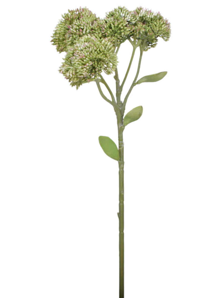 16" Sedum Stem- UV Protected   SE1039UV