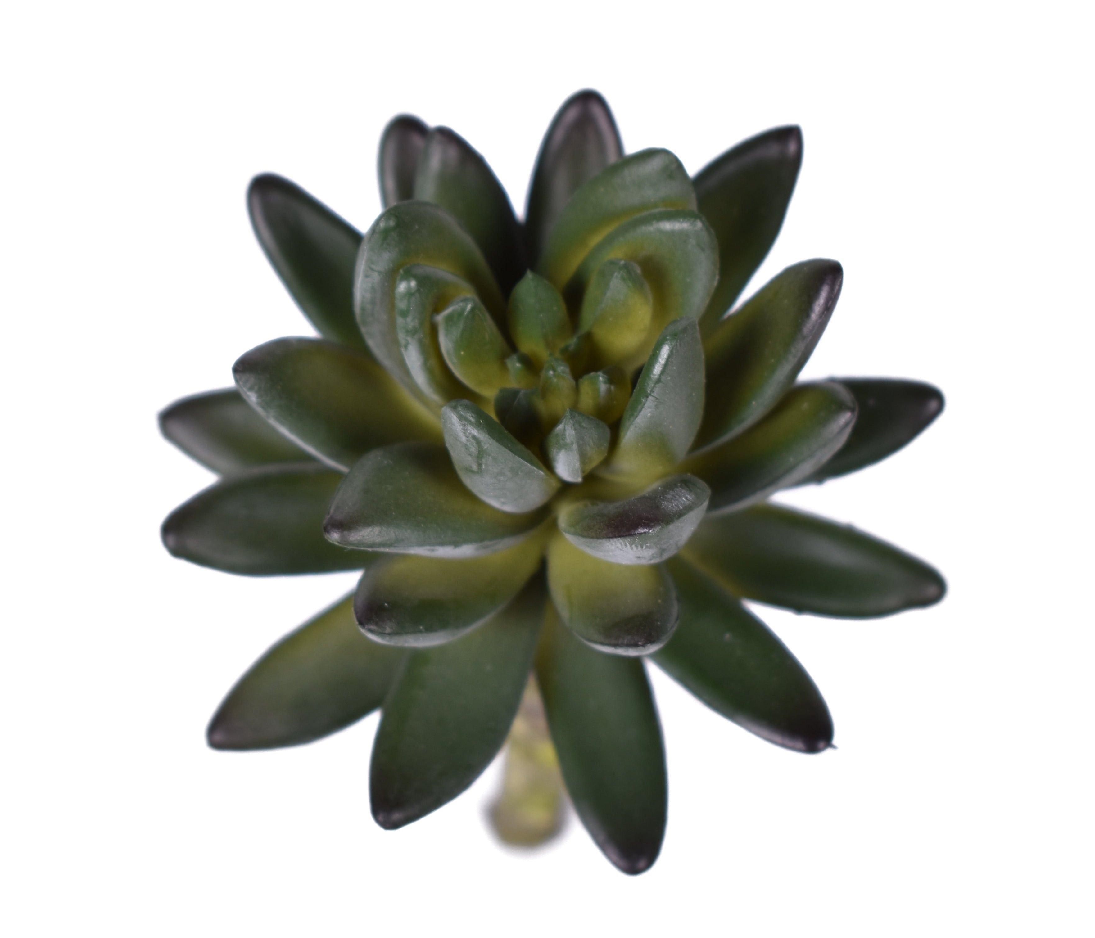 5" UV Protected Succulent Pick   SF1077UV