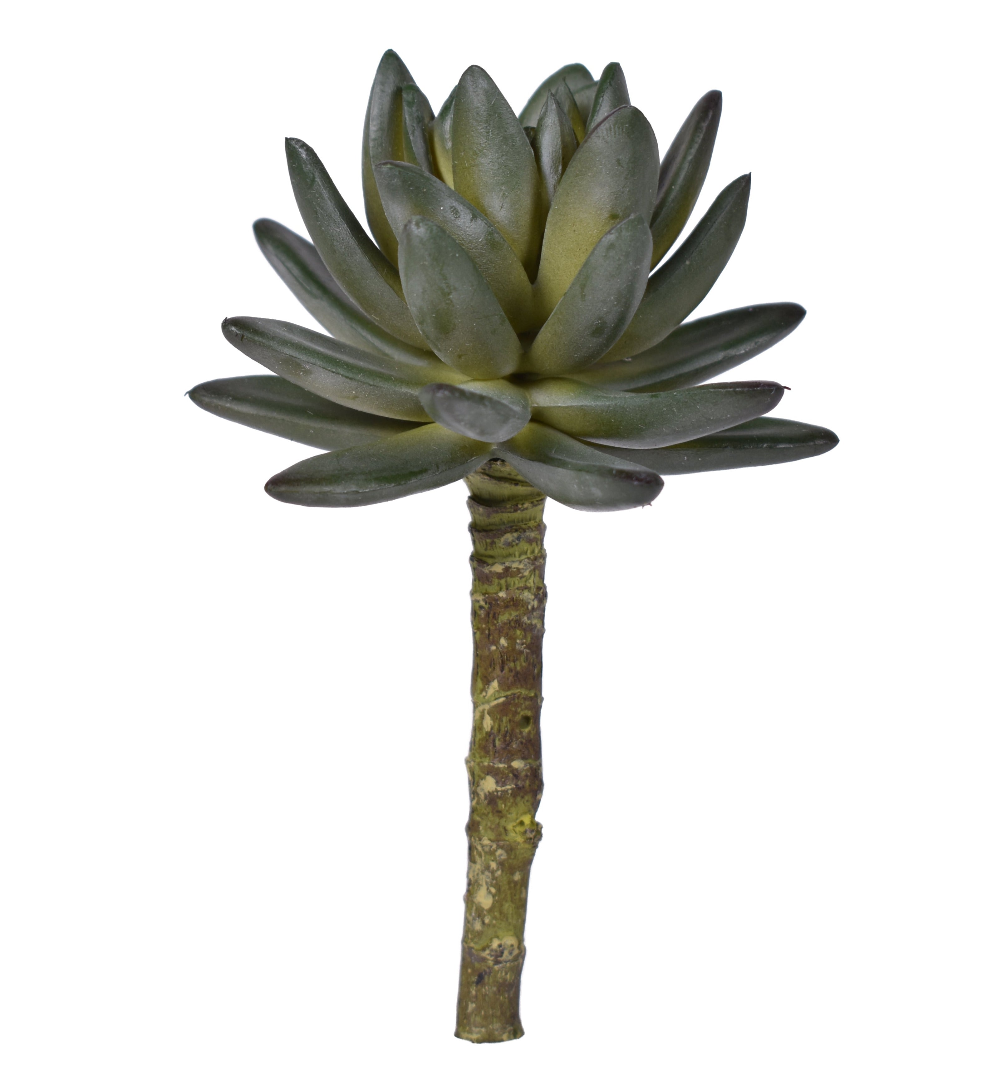 5" UV Protected Succulent Pick   SF1077UV