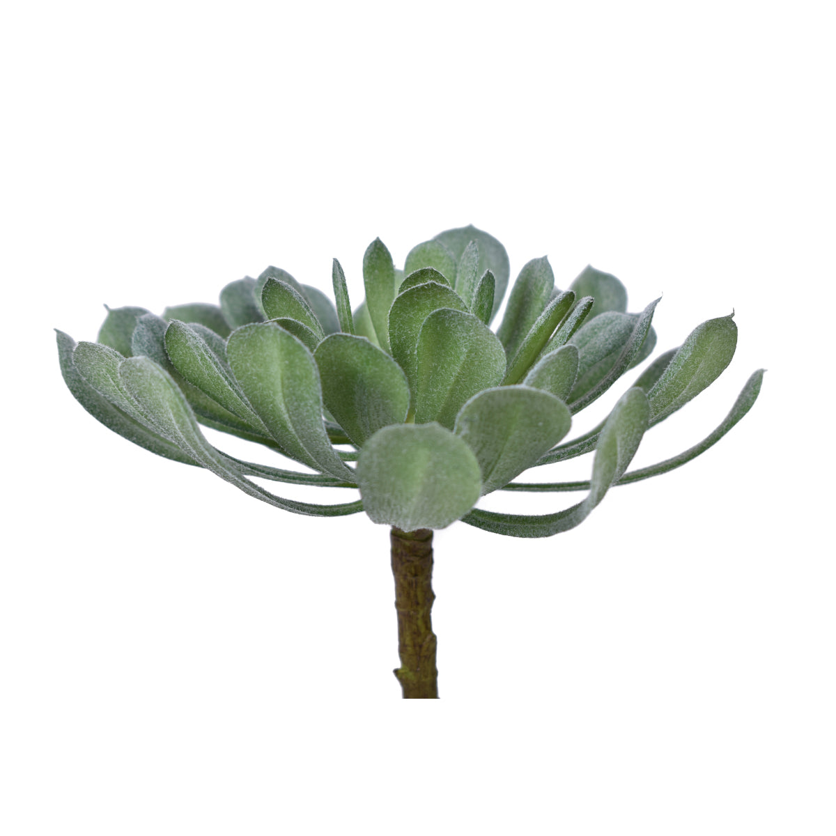 6" UV Protected Houseleek Pick   SF1078UV