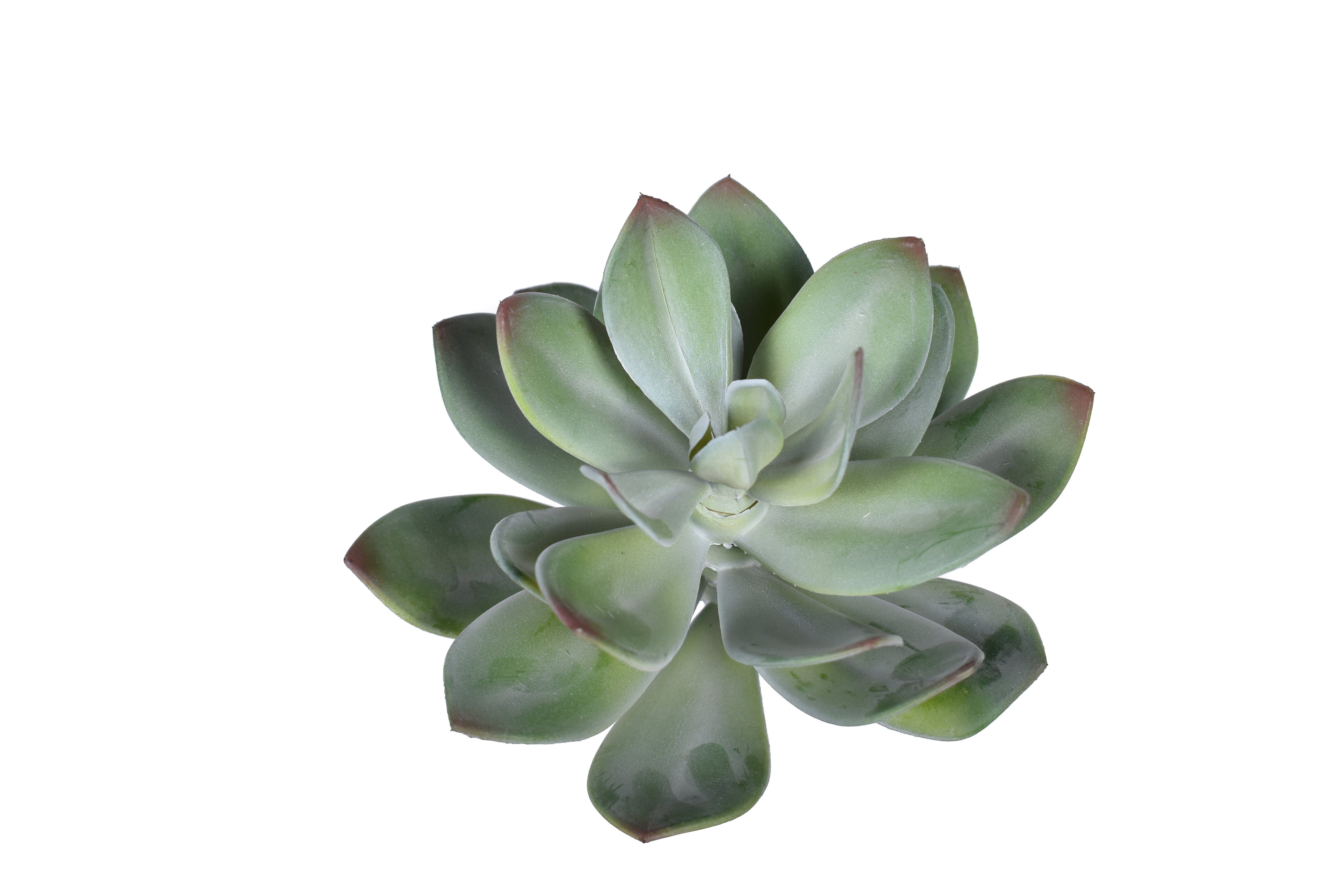 9" UV Protected Succulent Pick   SF1101UV