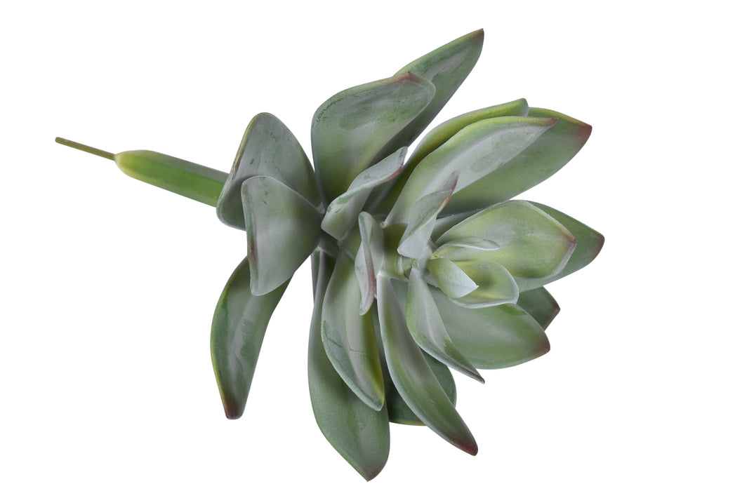 9" UV Protected Succulent Pick   SF1101UV