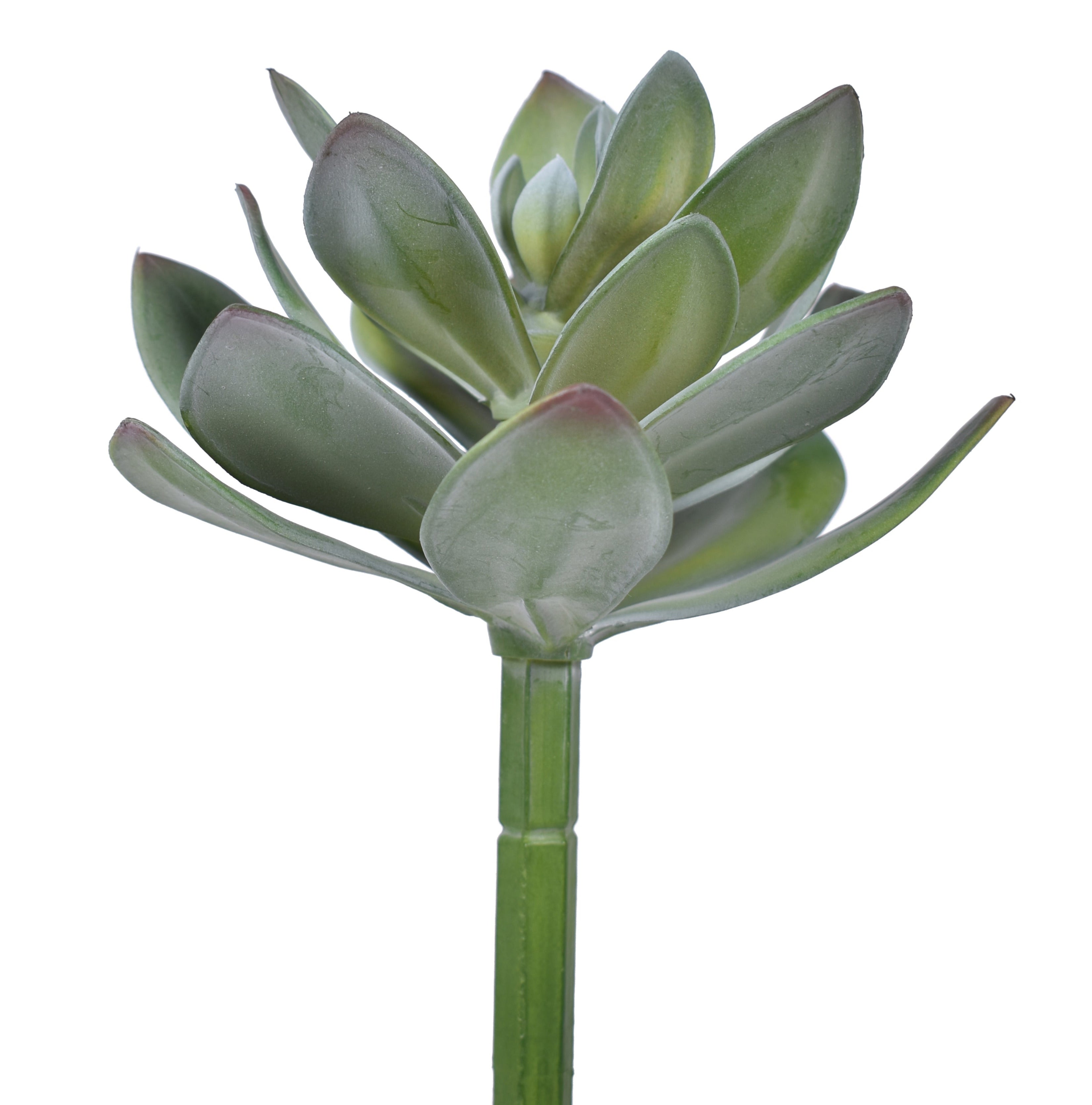 9" UV Protected Succulent Pick   SF1101UV