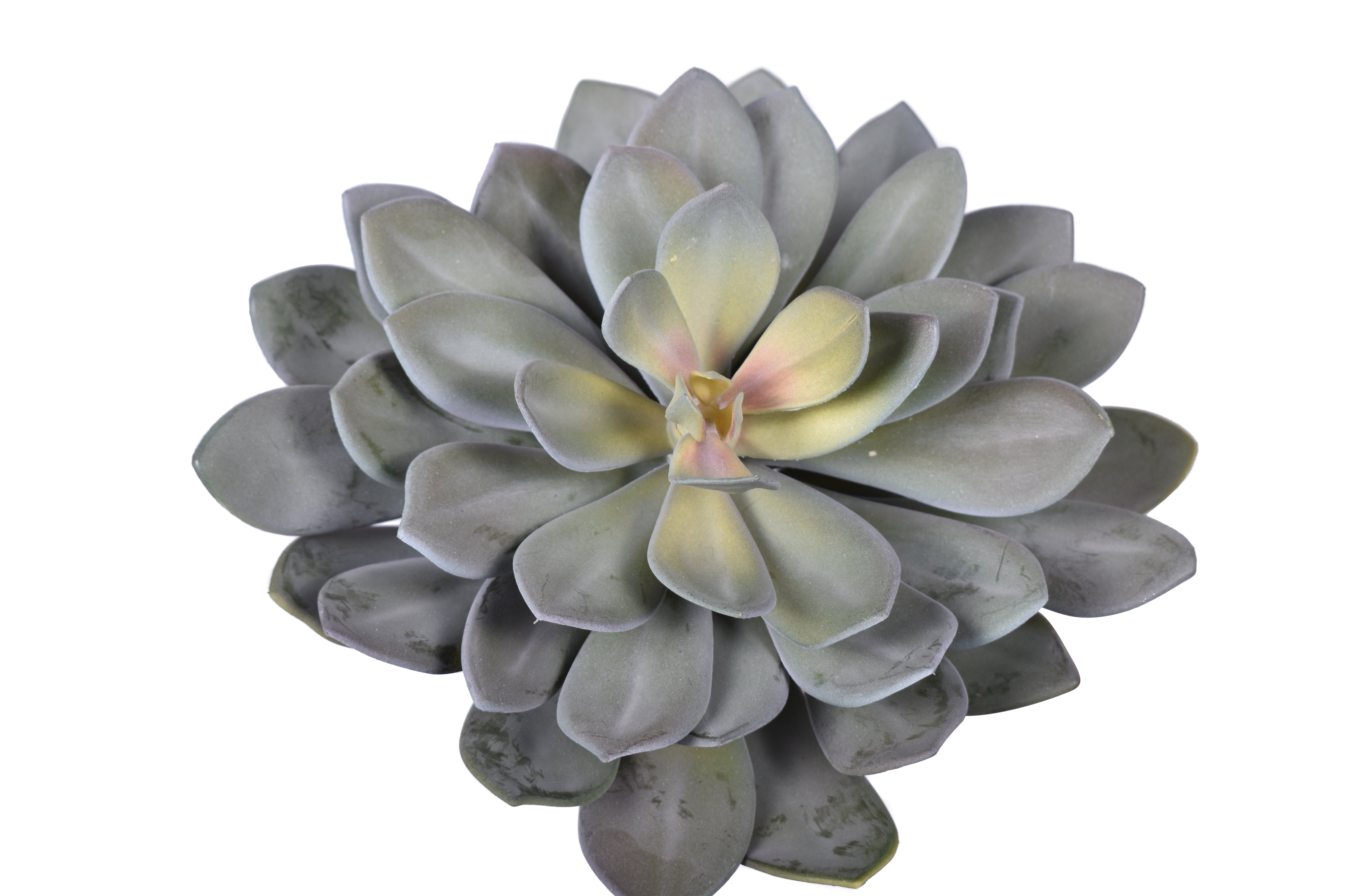 14" UV Protected Echeveria Stem   SF1104UV