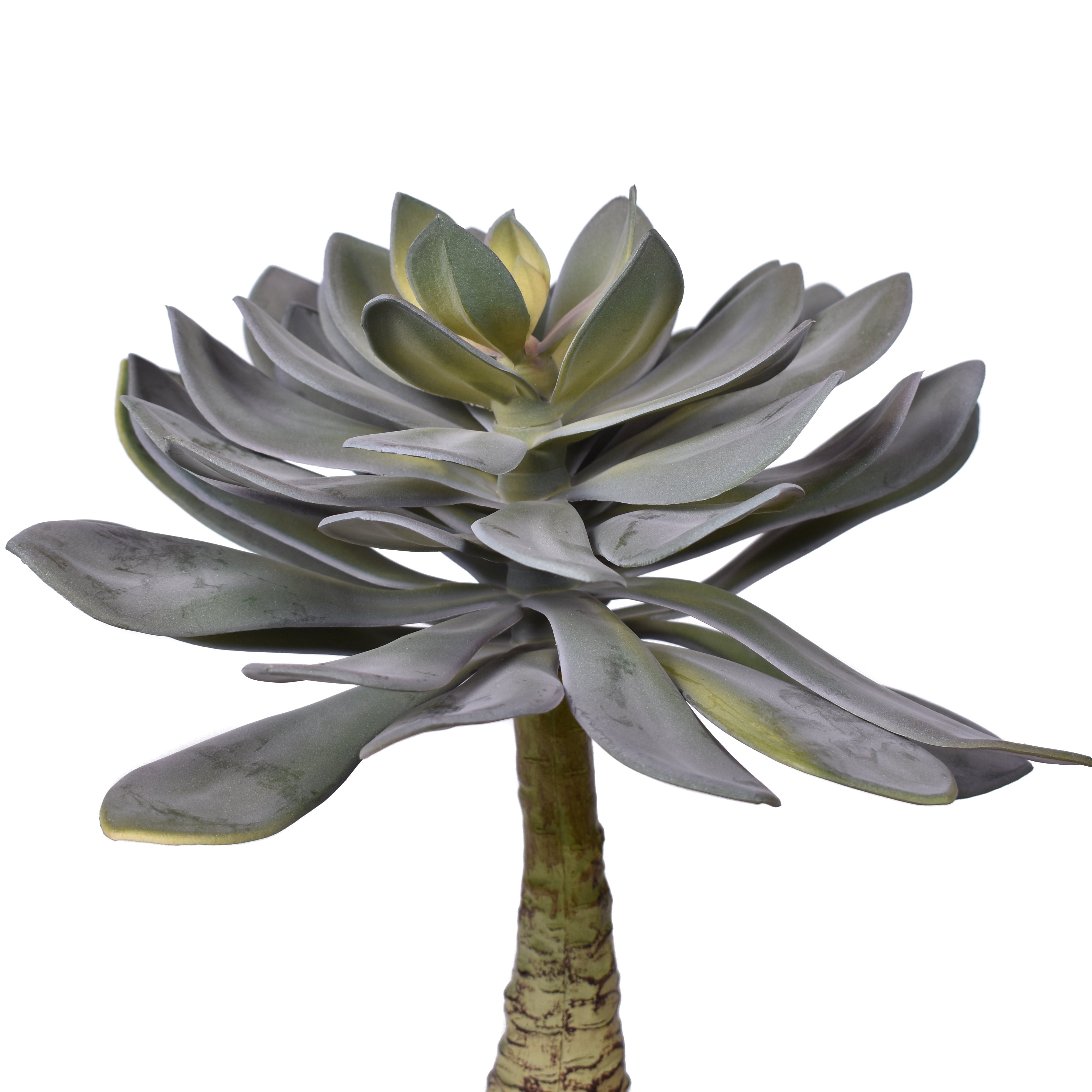 14" UV Protected Echeveria Stem   SF1104UV