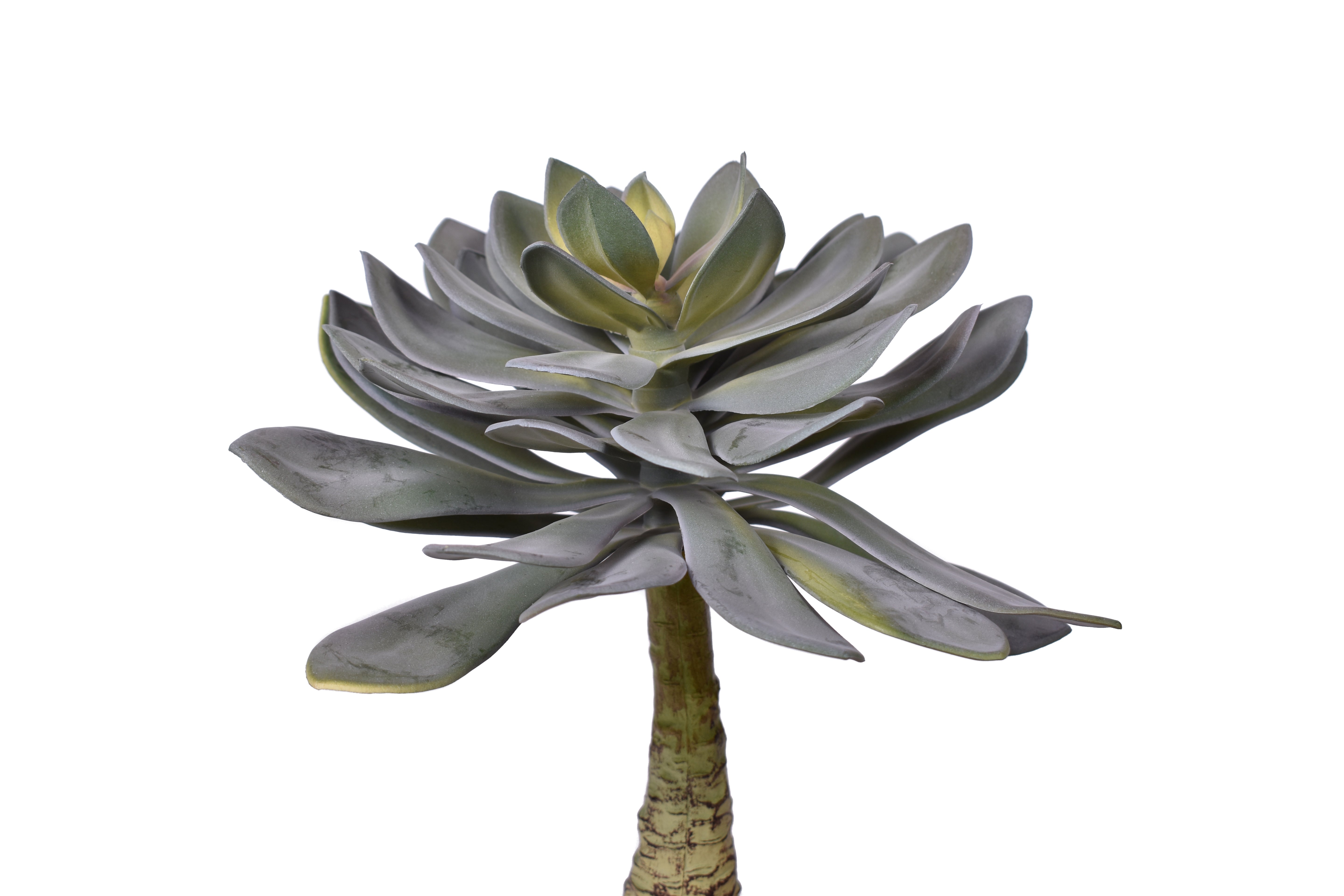 14" UV Protected Echeveria Stem   SF1104UV