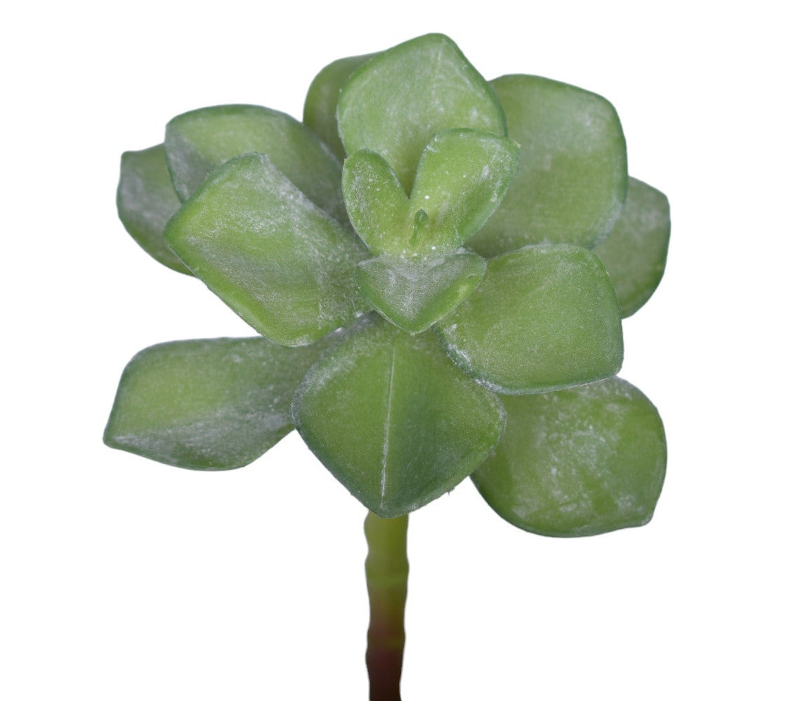 9" UV Protected Succulent Flower   SF1109UV