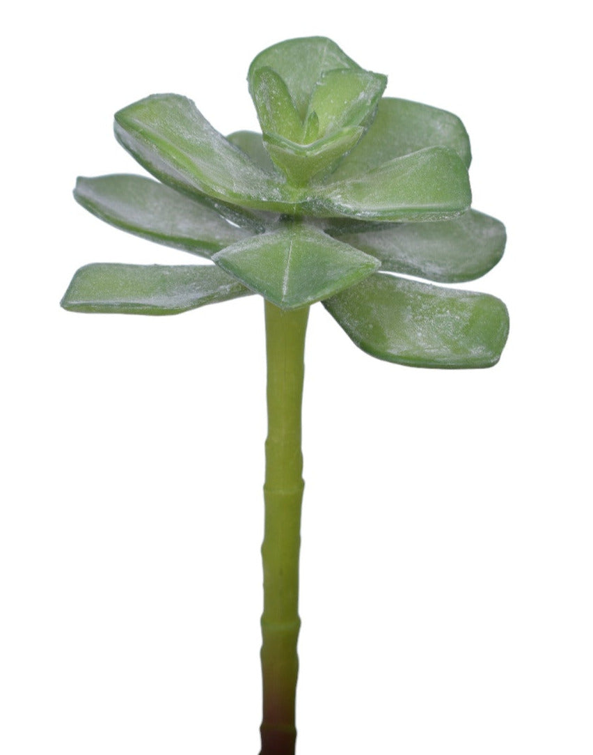 9" UV Protected Succulent Flower   SF1109UV