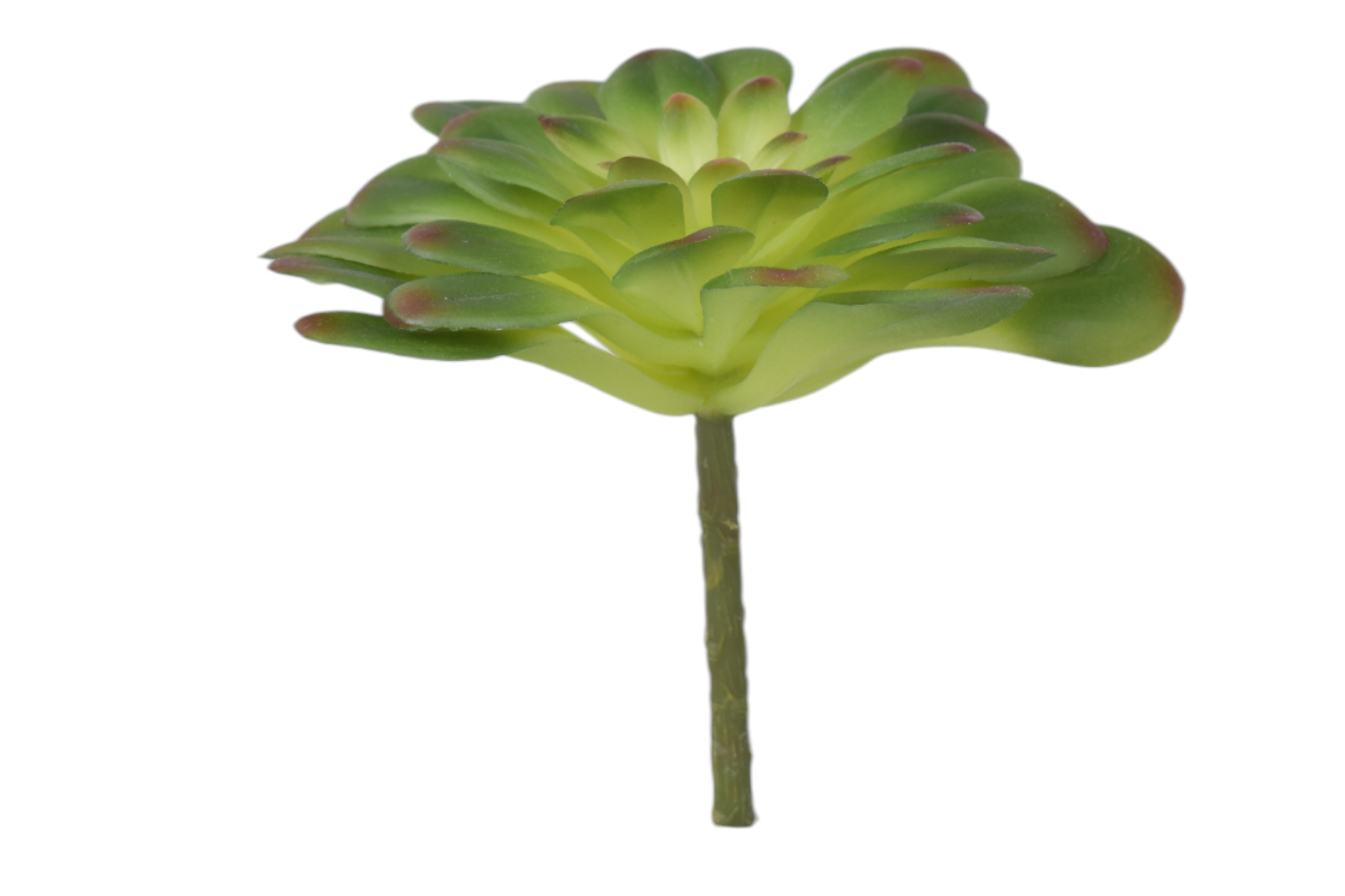 4” Succulent Stem SF1116