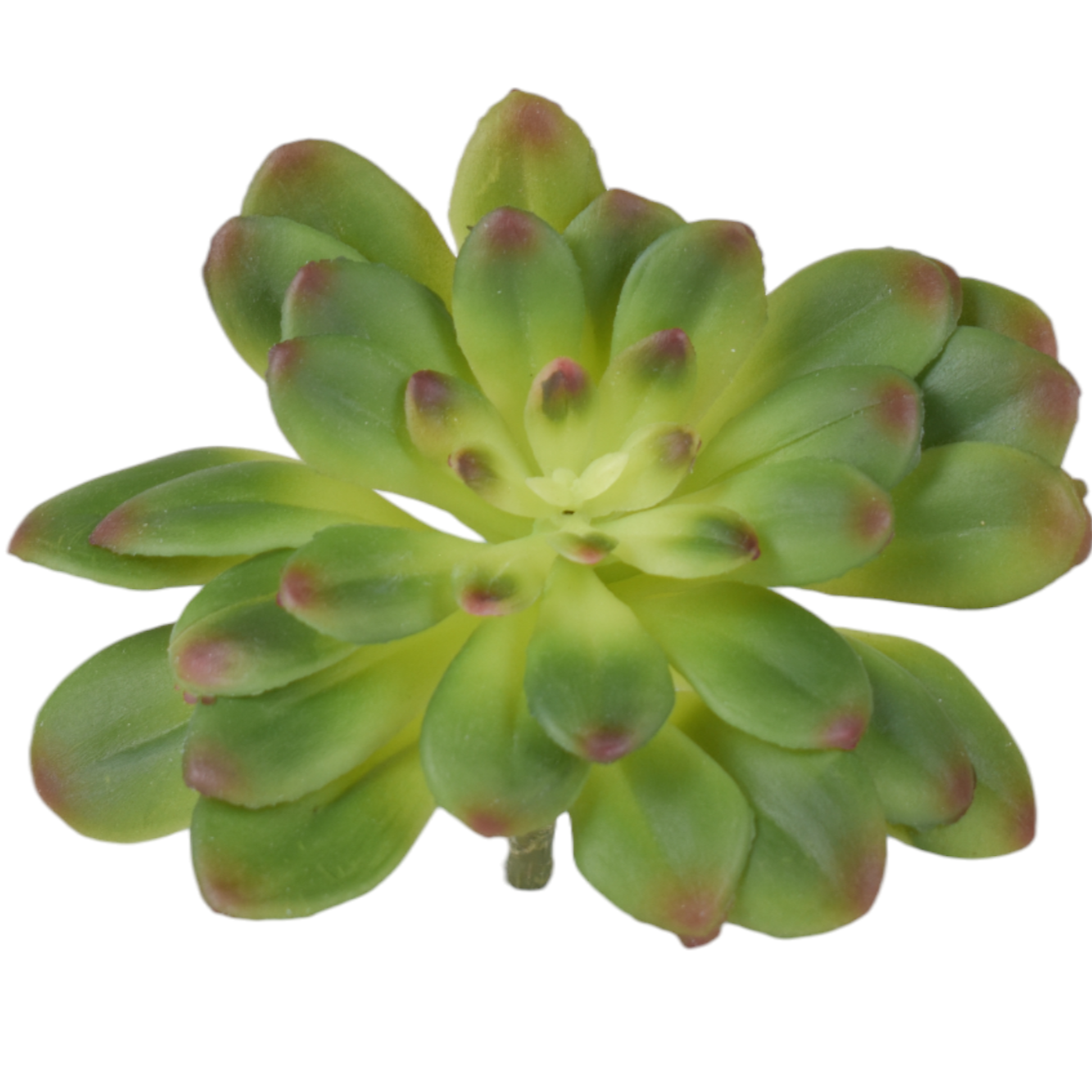 4” Succulent Stem SF1116