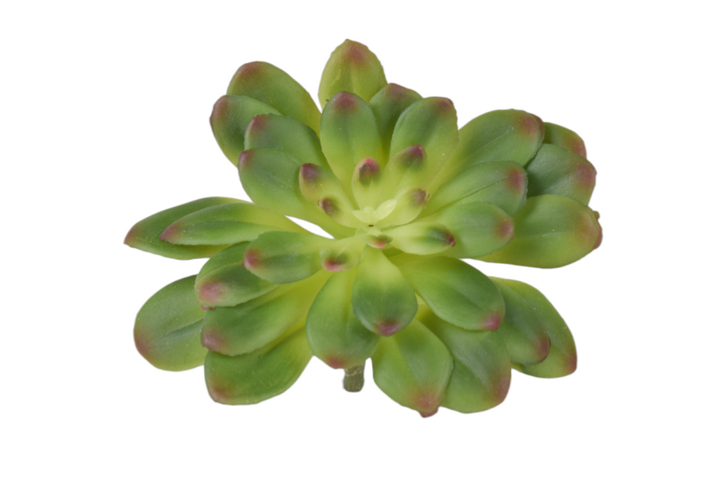 4” Succulent Stem SF1116