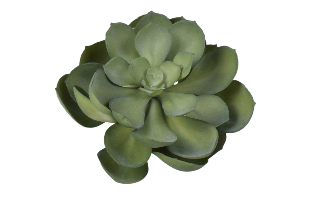 6” Grey/Green Succulent Stem  SF1119