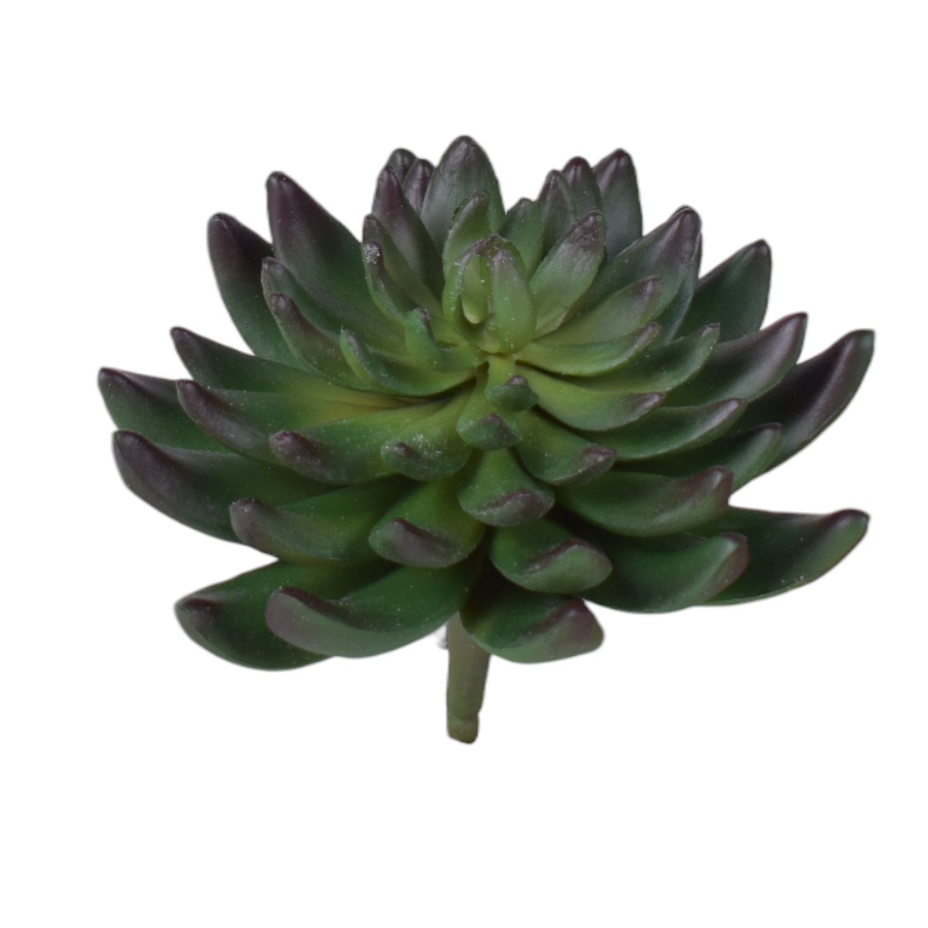 6” Succulent Stem   SF1120