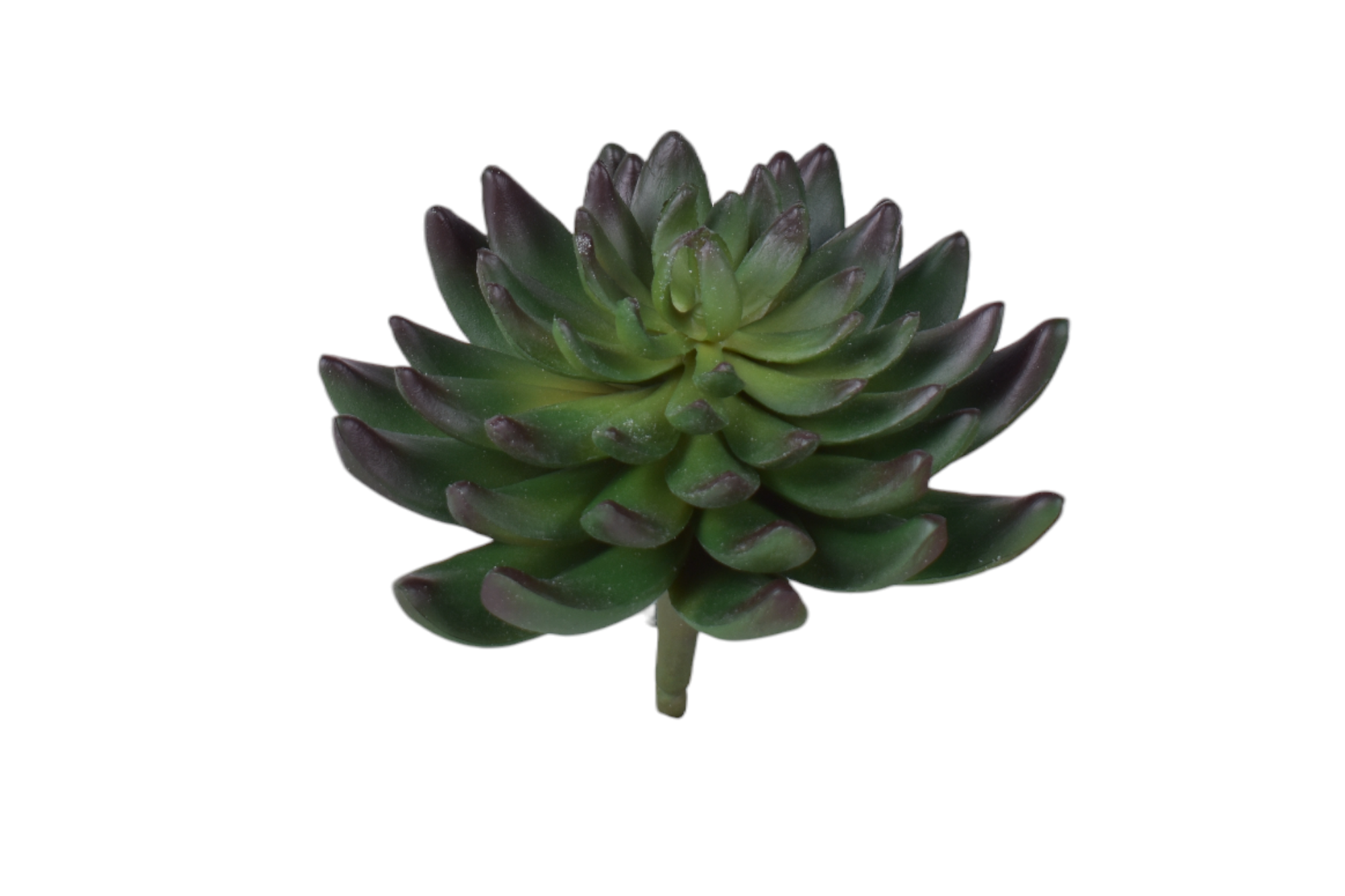 6” Succulent Stem   SF1120