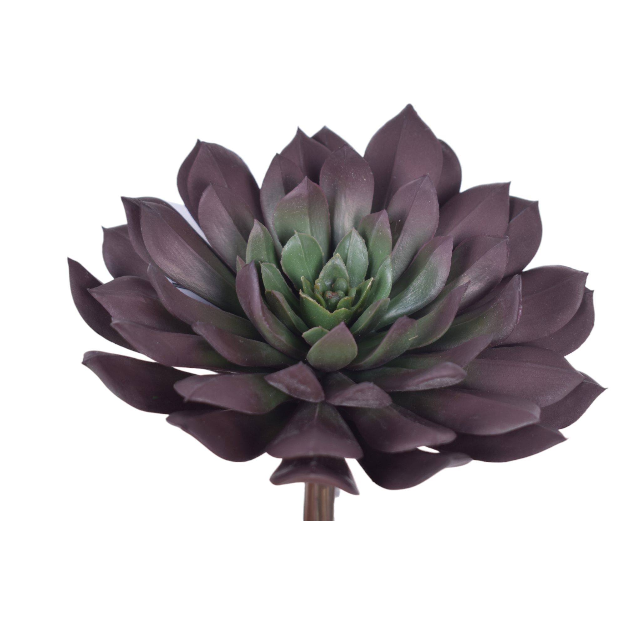 6” Purple/Green Succulent Stem   SF1121