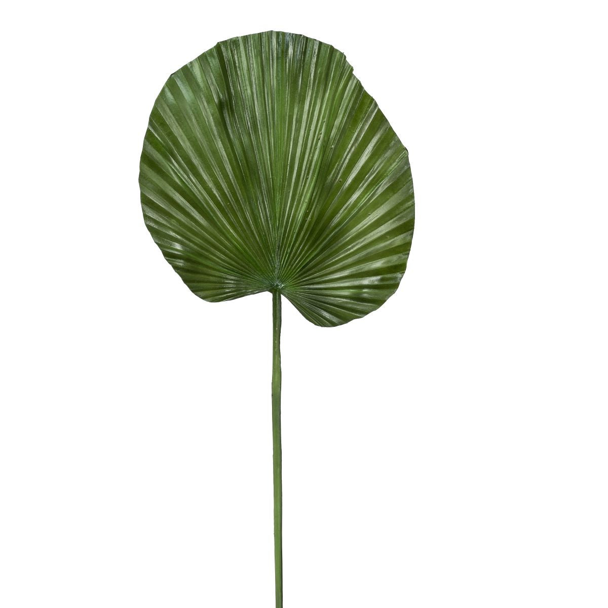 40" Fan Palm Leaf   ST1036