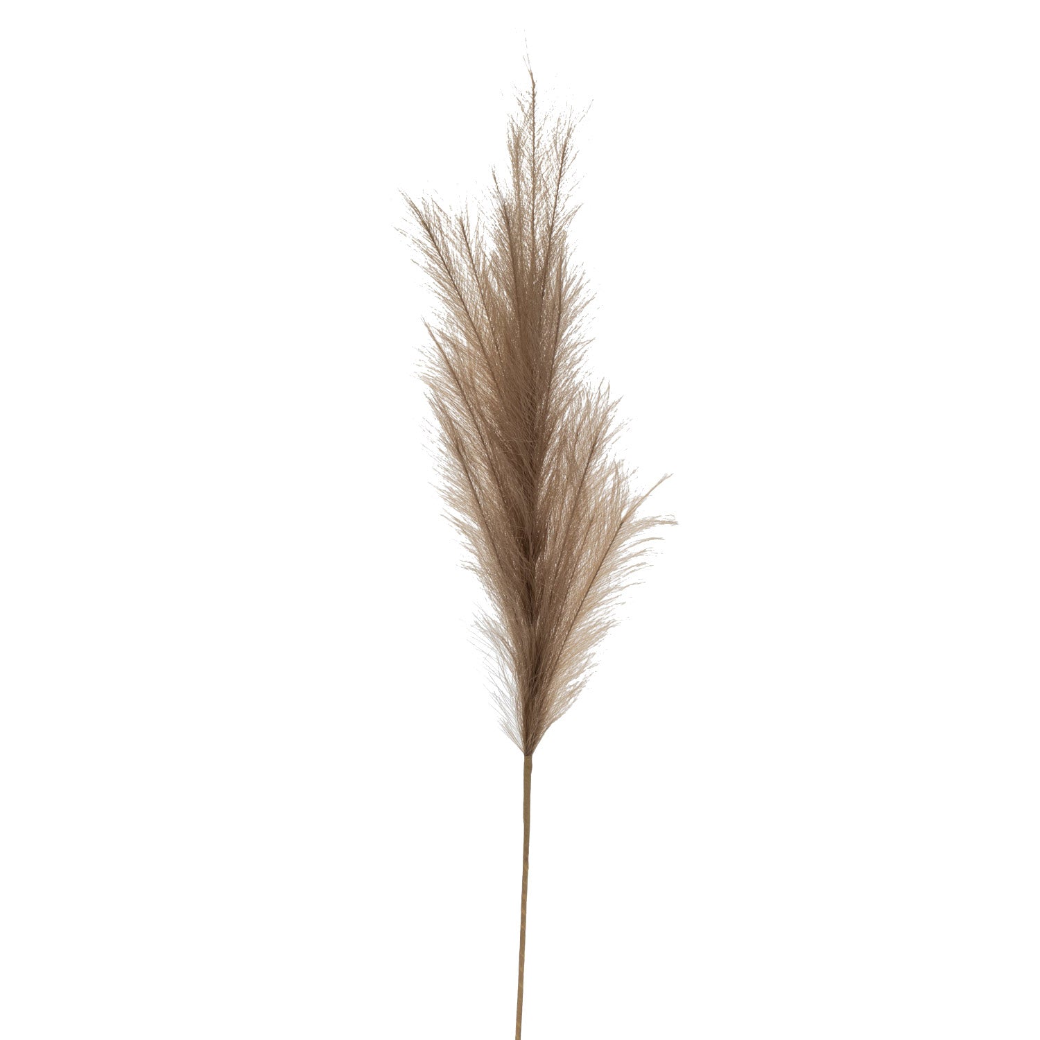 Faux Brown Pampas Grass   ST1103