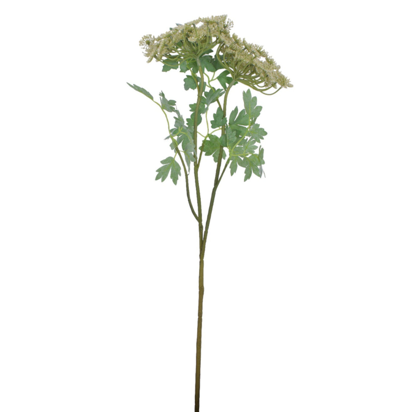 30" Queen Anne Lace Spray   ST1150