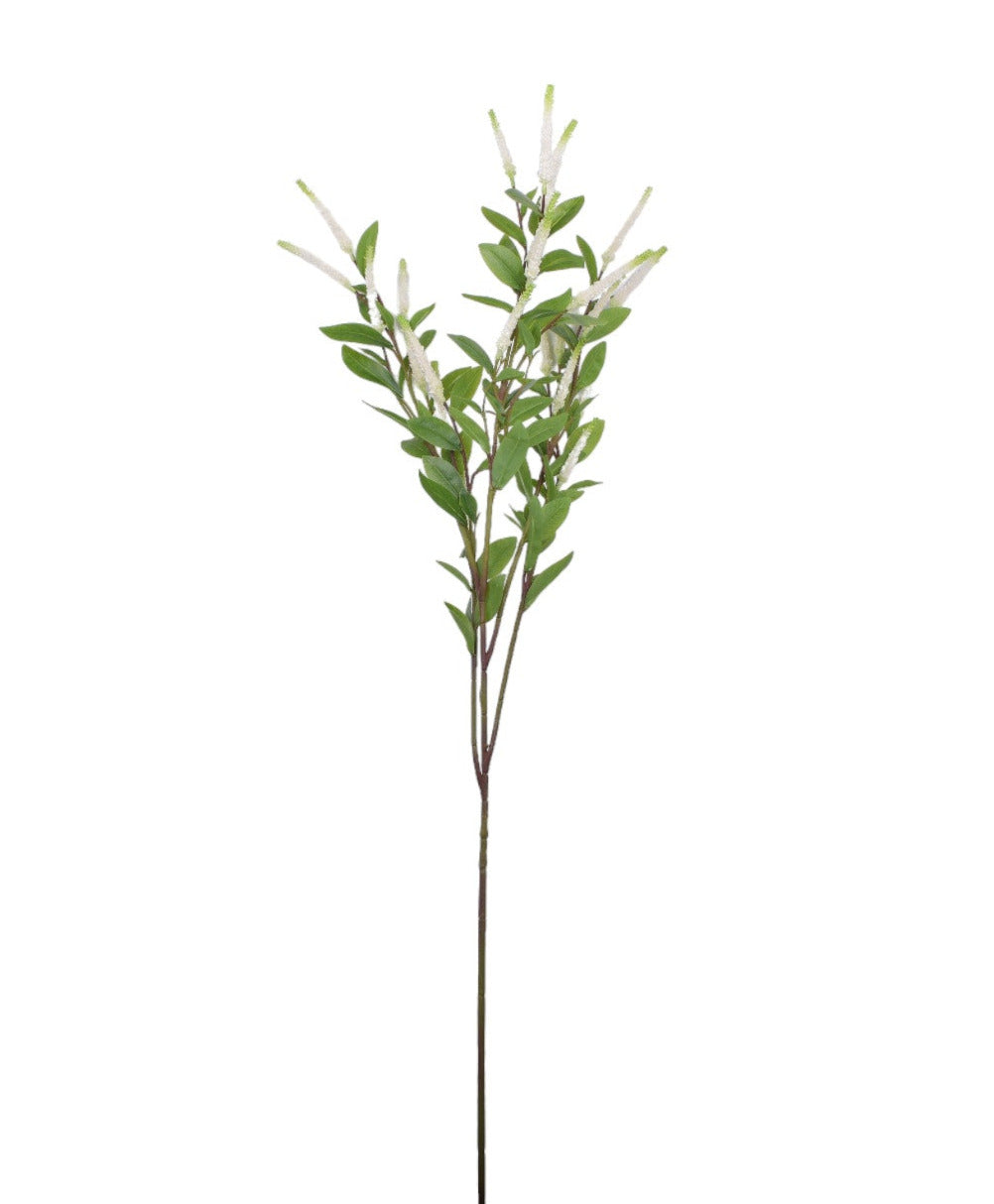 45" Itea Virginica Spray   ST1155