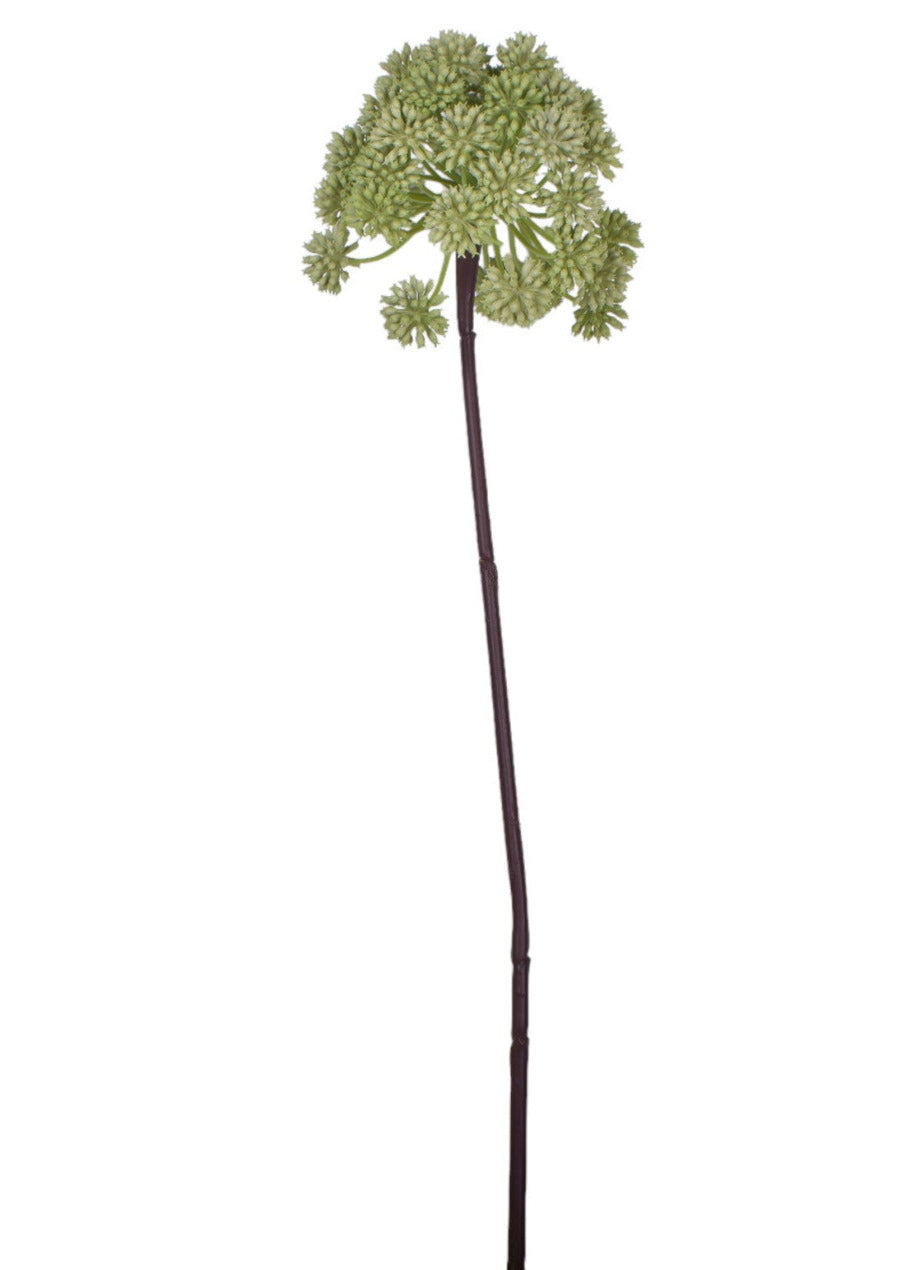 38" Angelica Stem- UV Treated    ST1156UV