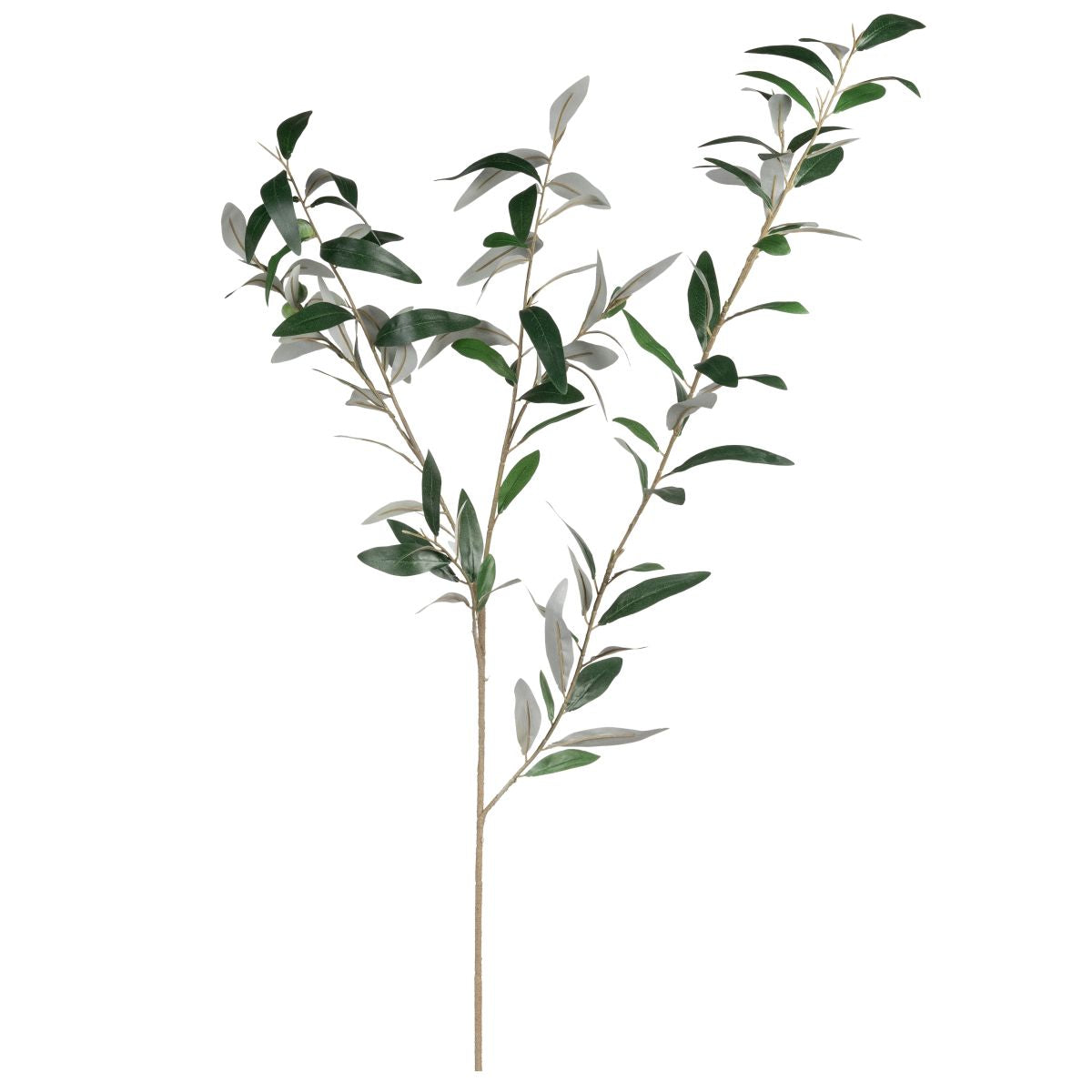 45" Olive Stem- UV Treated  ST1160UV