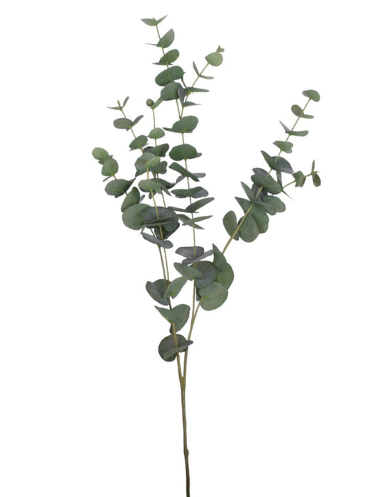 40" Eucalyptus Stem- UV Treated    ST1161UV