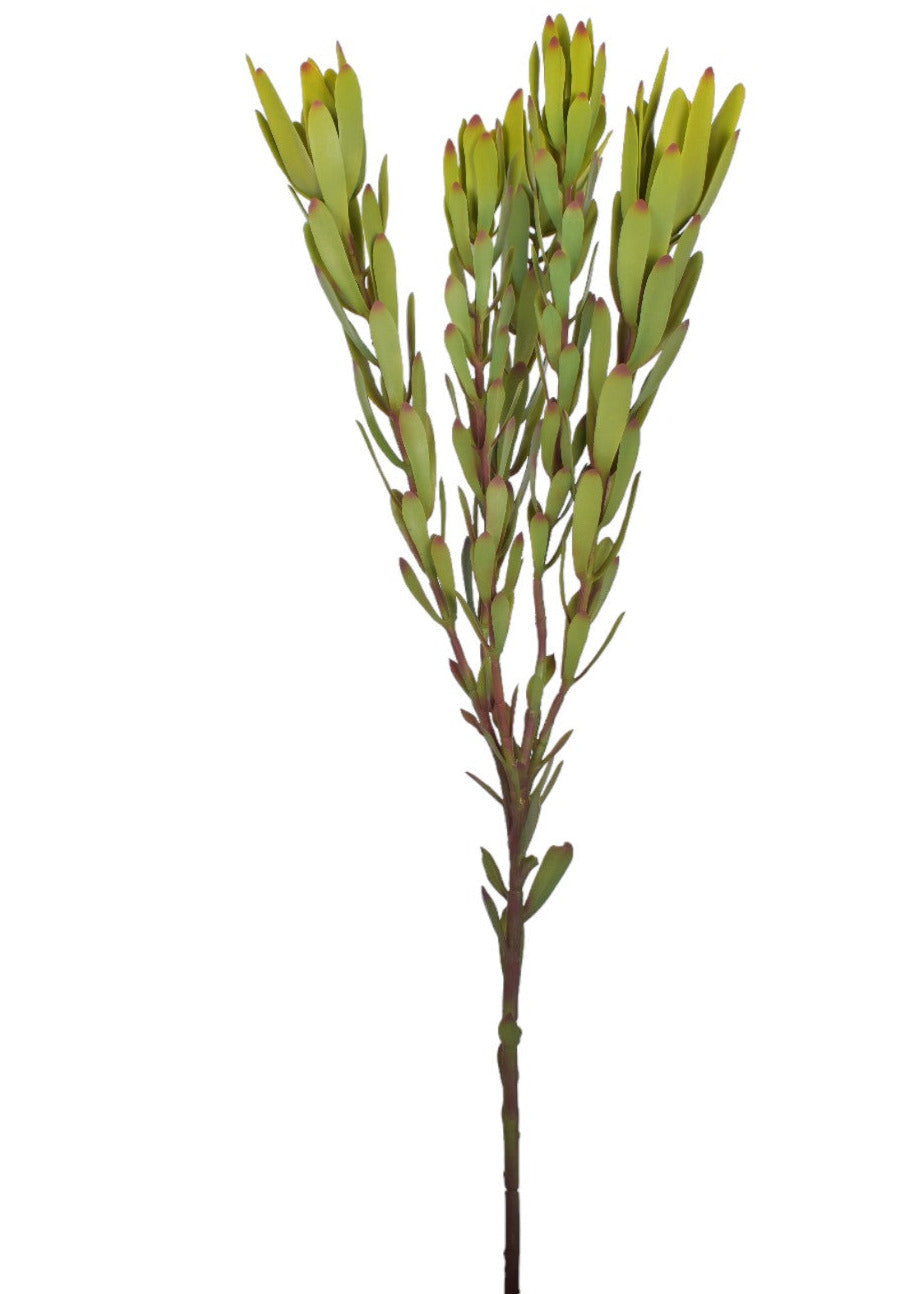 32" Leucadendron Stem-UV Protected    ST1173UV