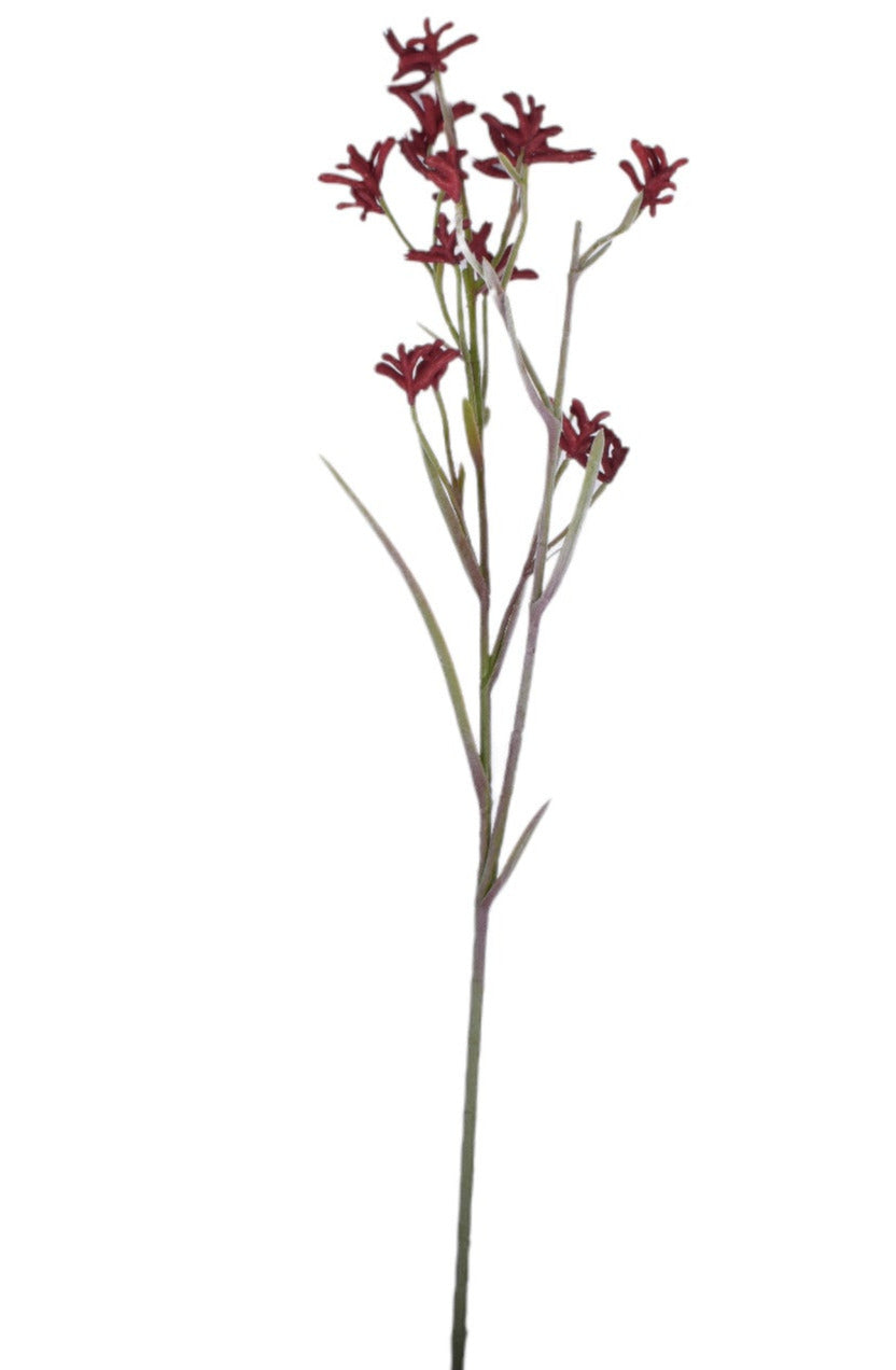 45" Red Kangaroo Paw Stem   ST1175